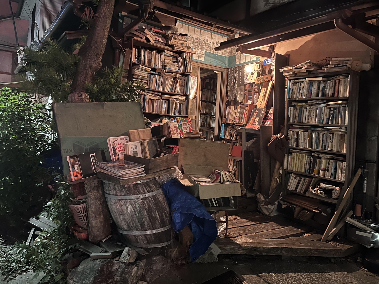 I sketched a cool bookstore (the bird is a stamp) - image 1 - student project