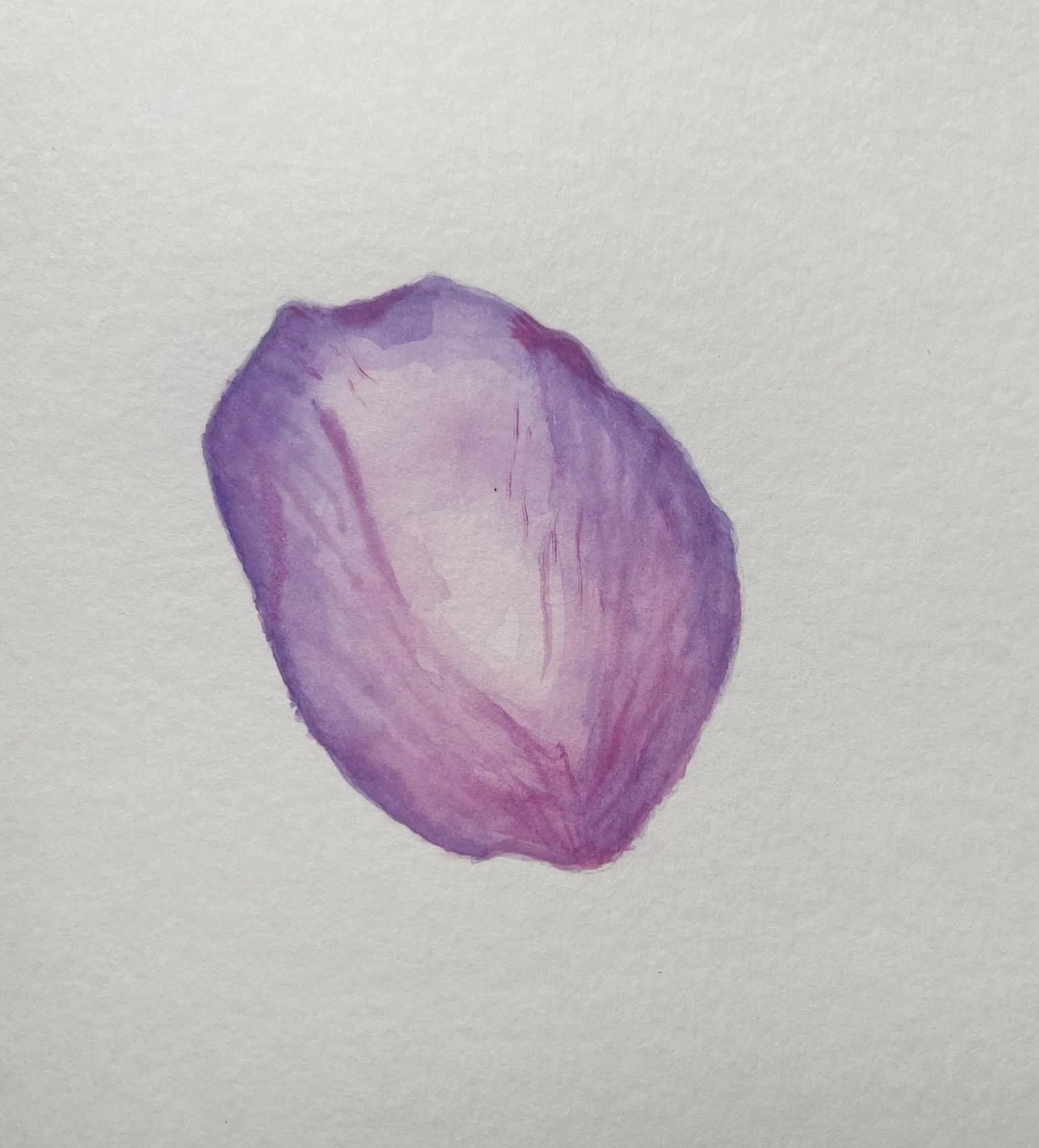 Peony - image 1 - student project