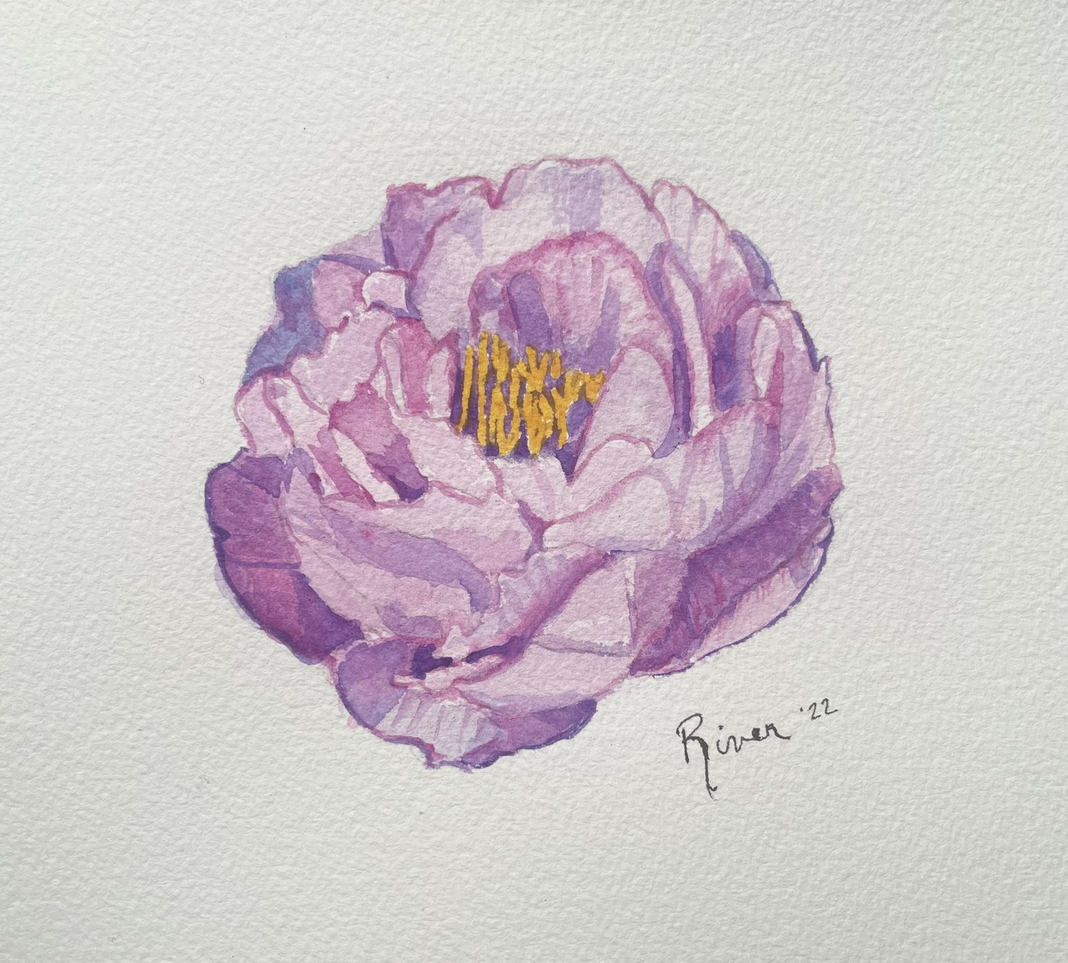 Peony - image 2 - student project