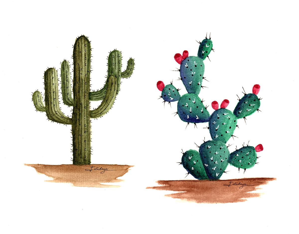 Watercolor Cacti and Succulents - image 1 - student project