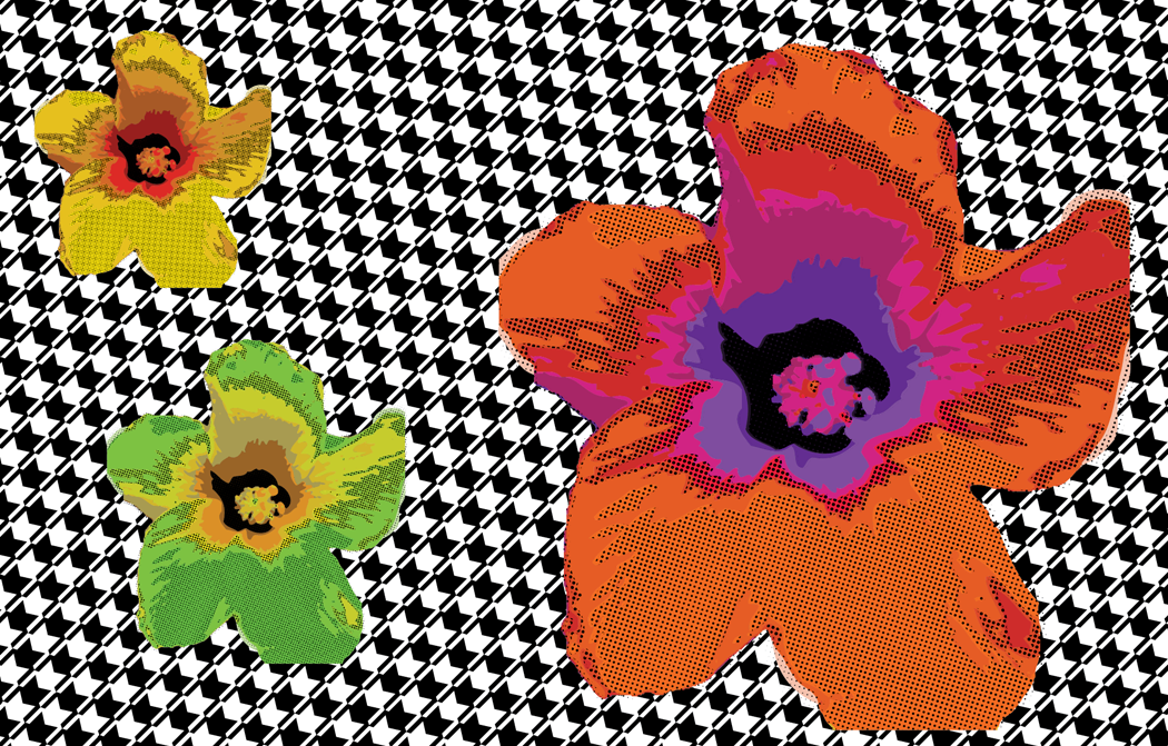 Hibiscus and Houndstooth - image 3 - student project