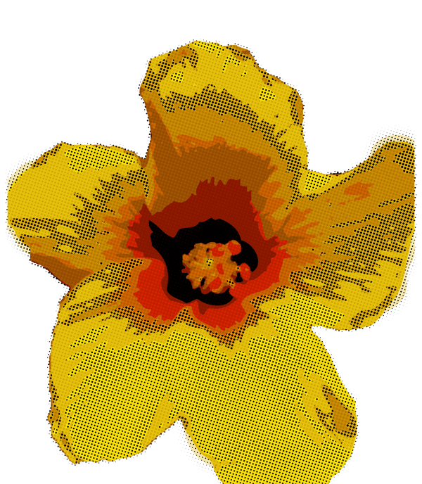 Hibiscus and Houndstooth - image 2 - student project