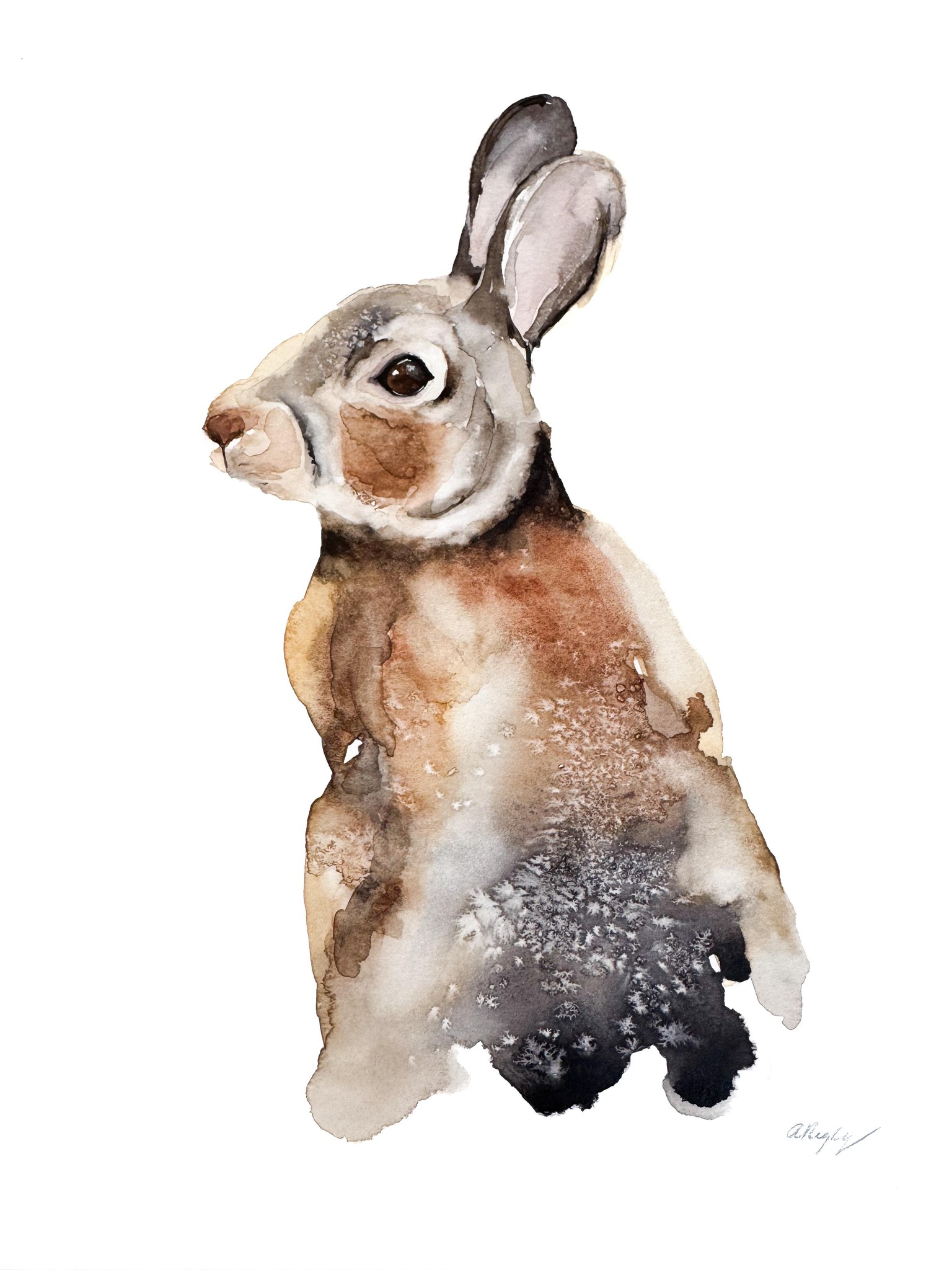 Loose Watercolor Rabbit - image 1 - student project