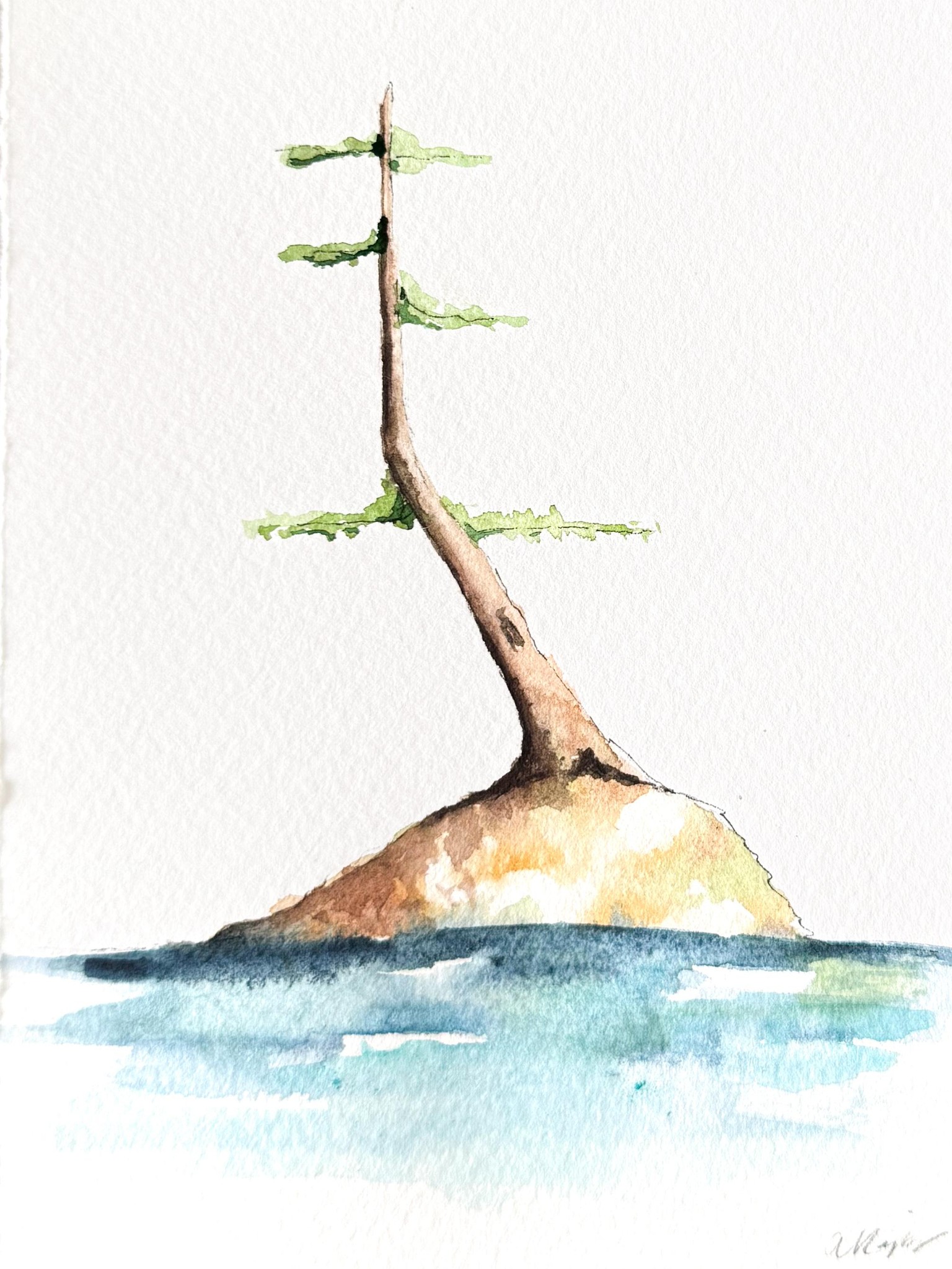 Watercolor Windswept Pine - image 2 - student project