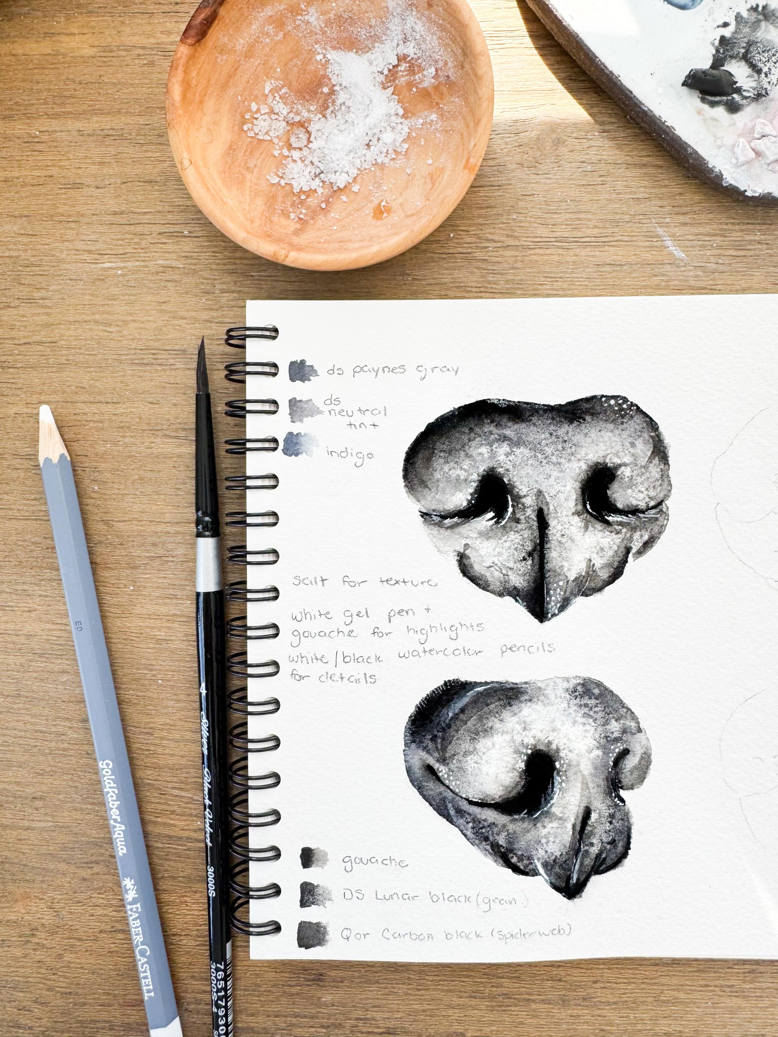 Watercolor Dog Noses - image 1 - student project
