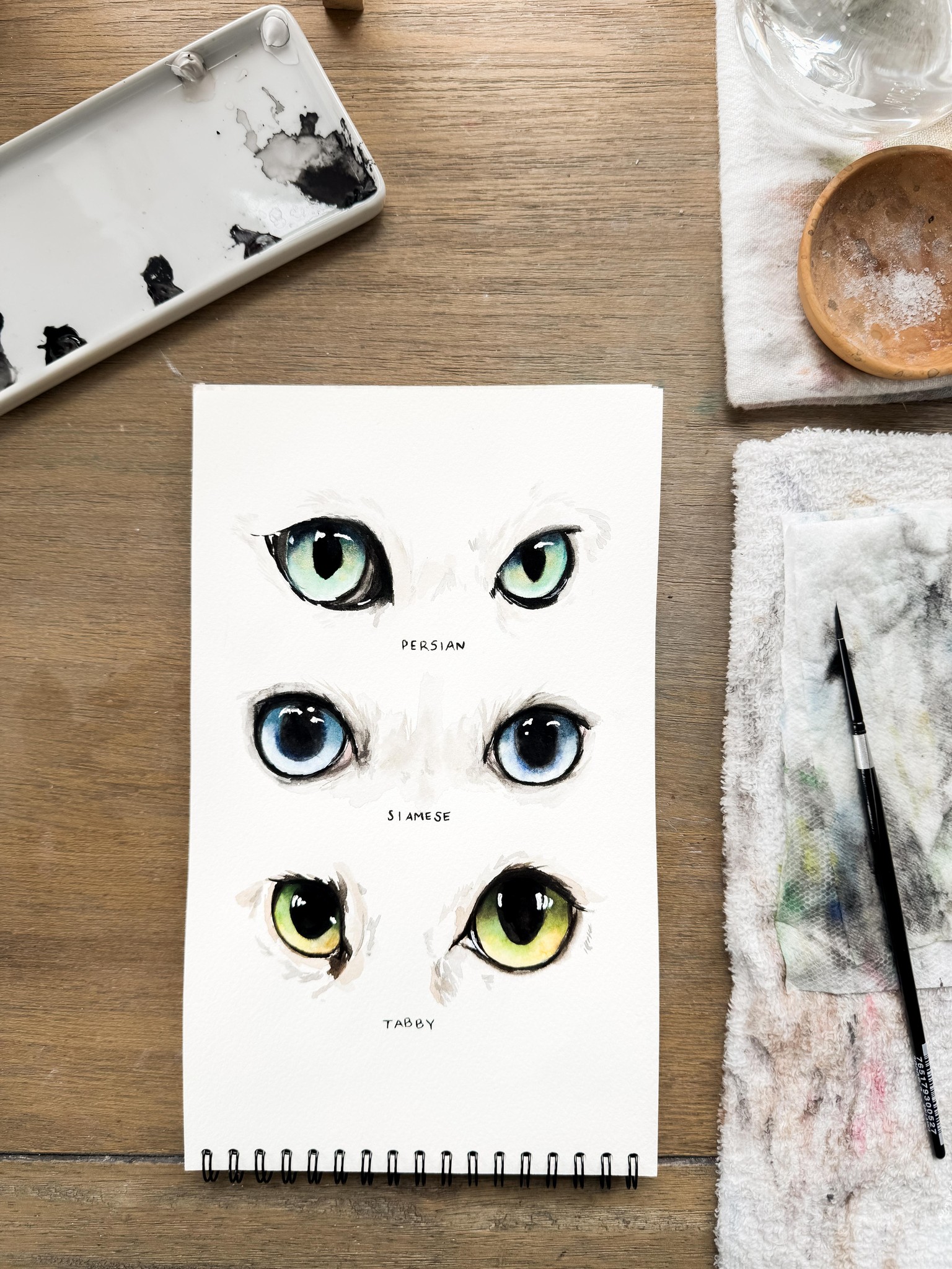 Cat Eyes - image 1 - student project