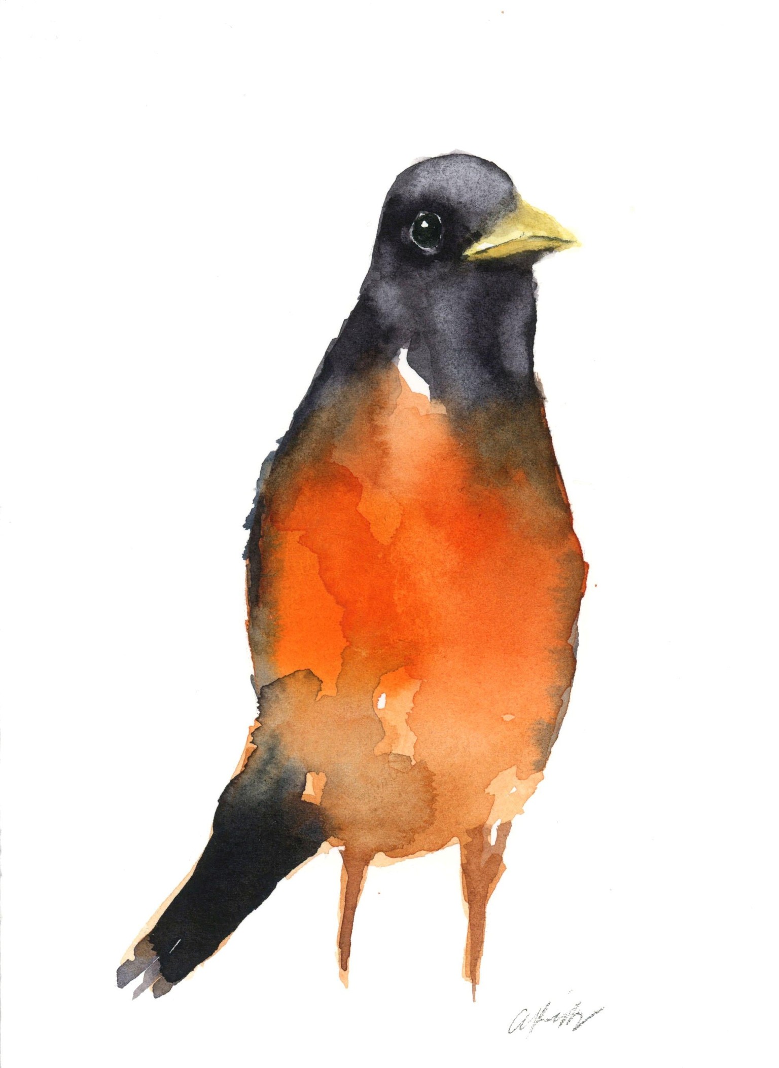 Loose Watercolor Robin - image 1 - student project