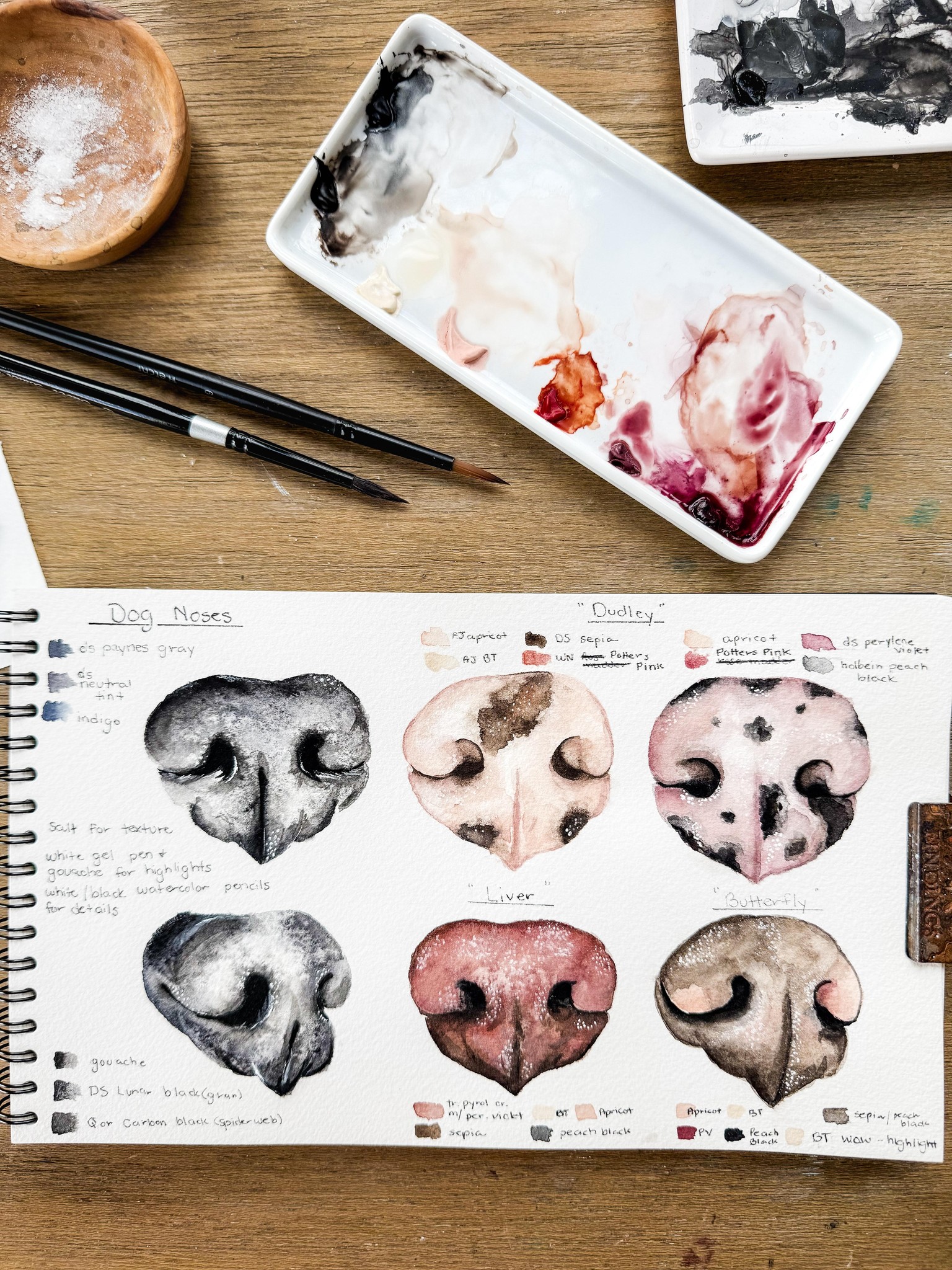 Dog Noses Vol. 2 - image 1 - student project