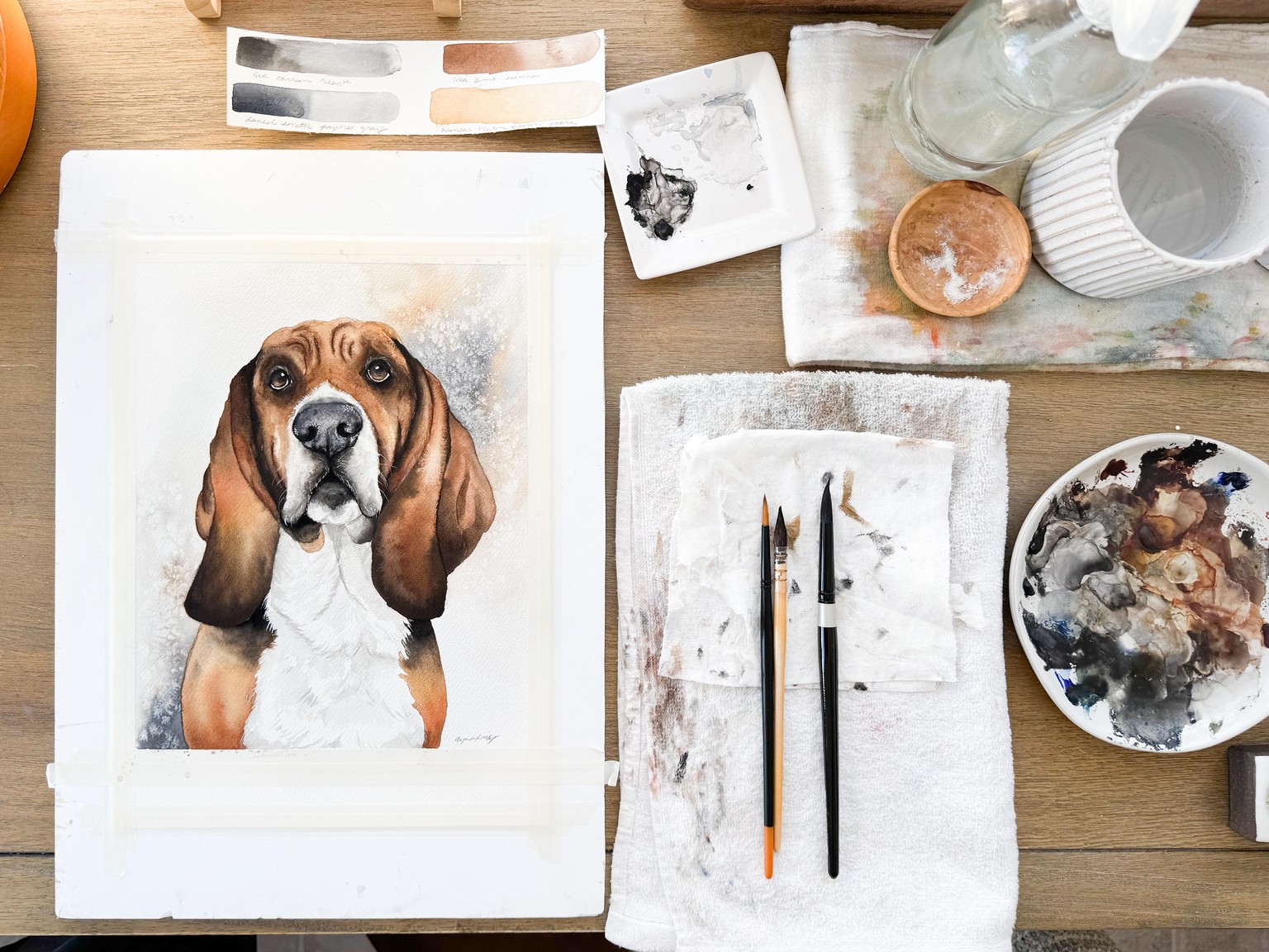 Cooper the Basset Hound w/Background - image 1 - student project