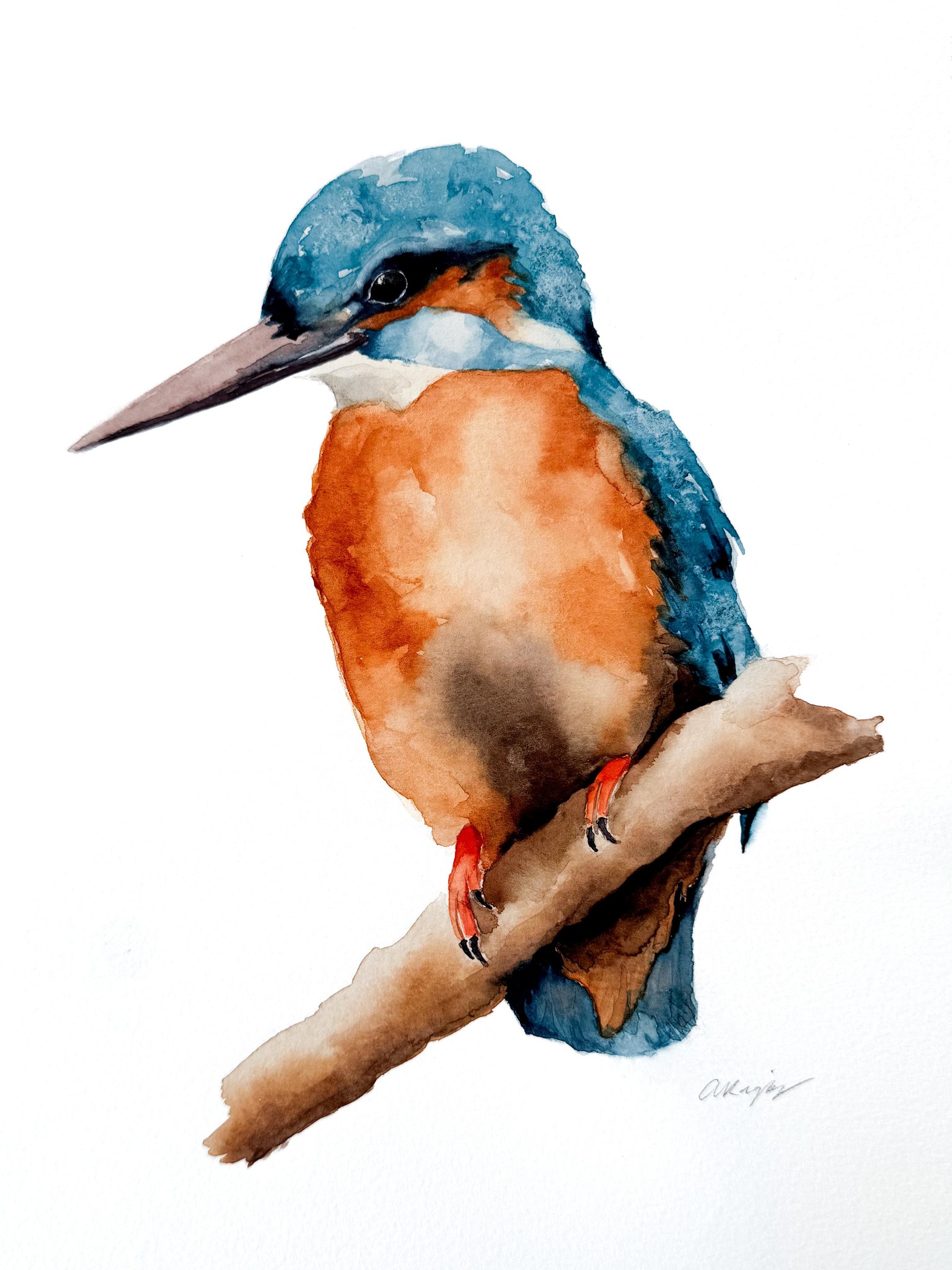 Loose Watercolor Kingfisher - image 1 - student project