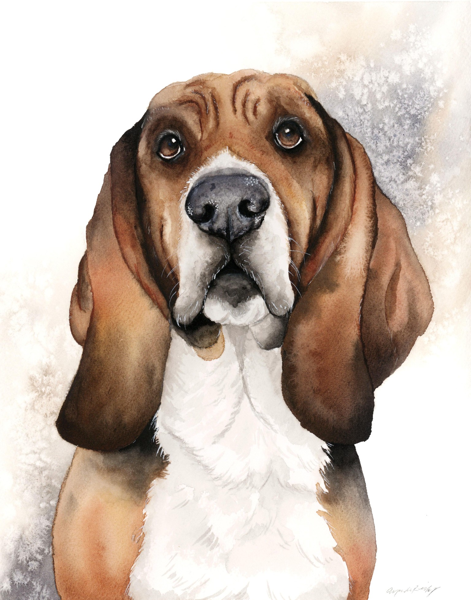 Cooper the Basset Hound w/Background - image 2 - student project