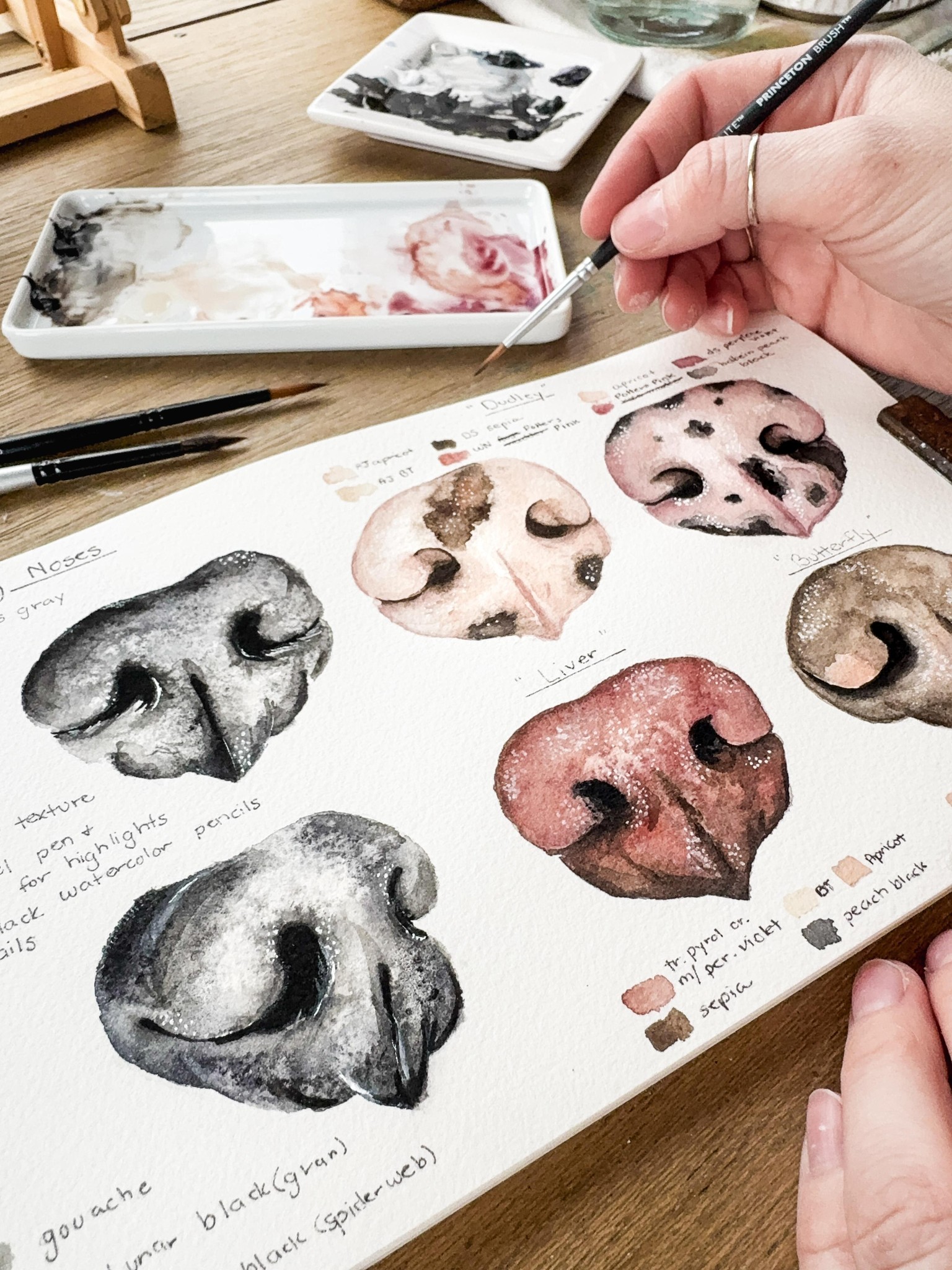 Dog Noses Vol. 2 - image 2 - student project