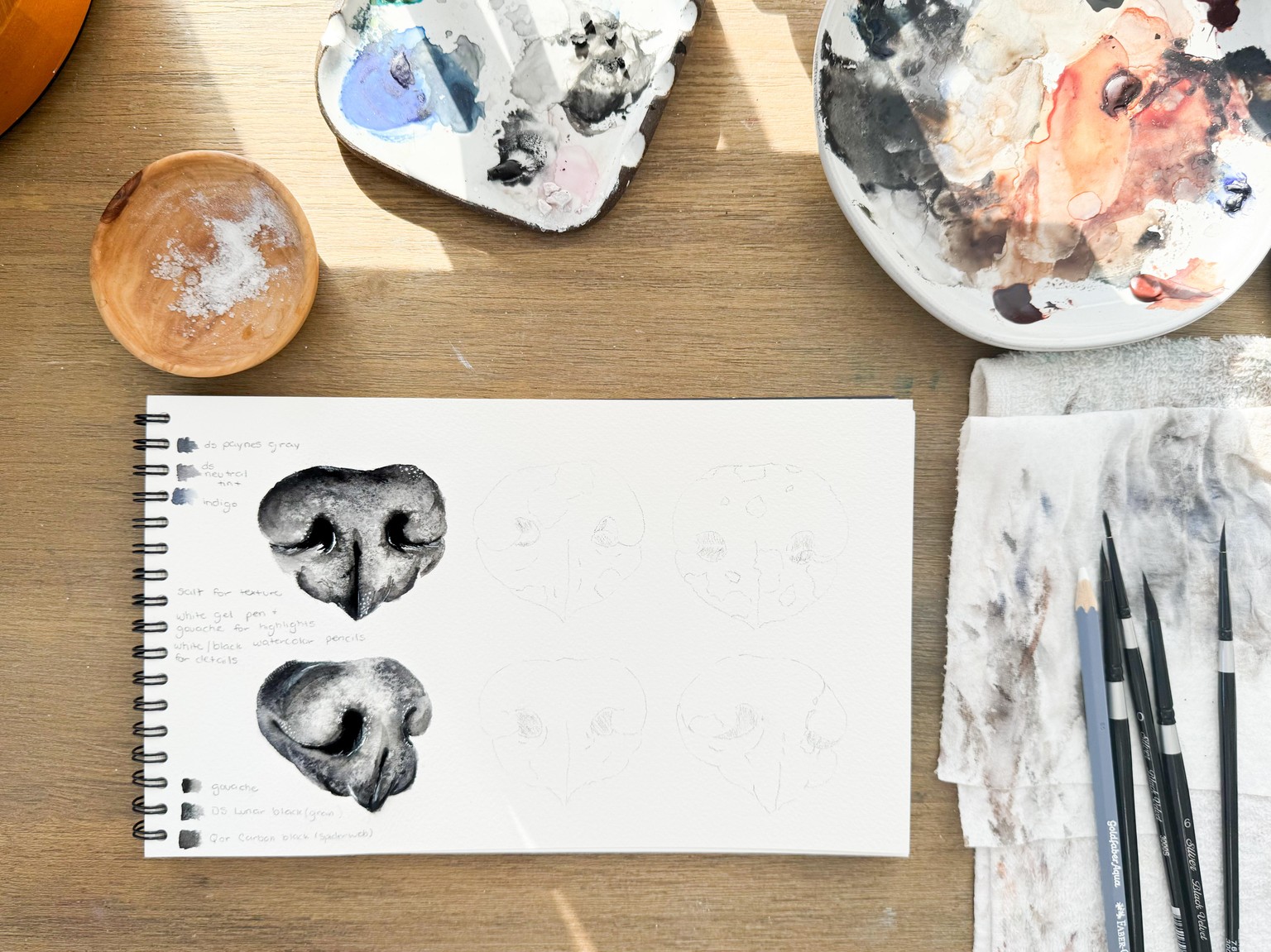 Watercolor Dog Noses - image 2 - student project