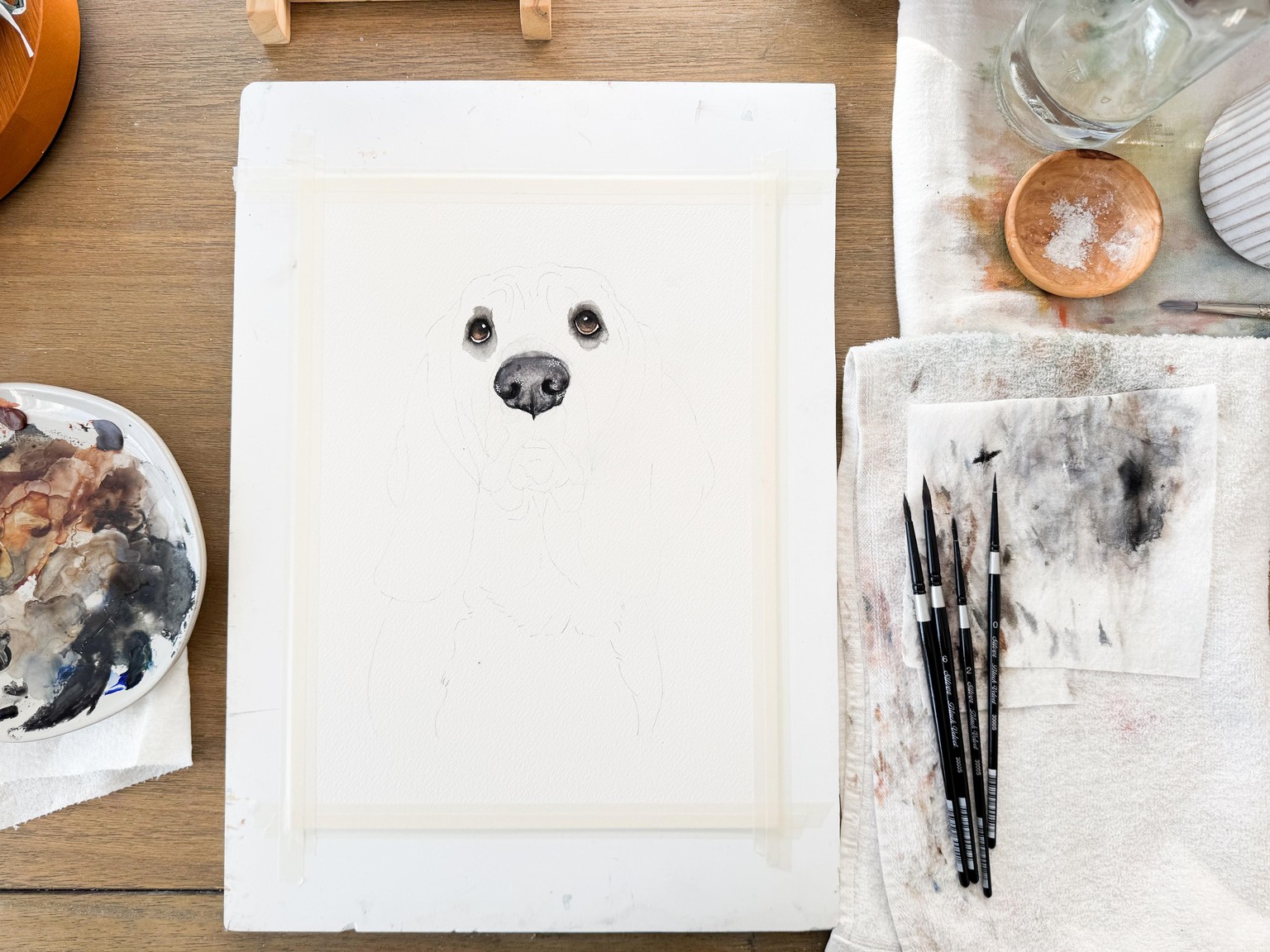 Cooper Dog Eyes/Nose - image 2 - student project