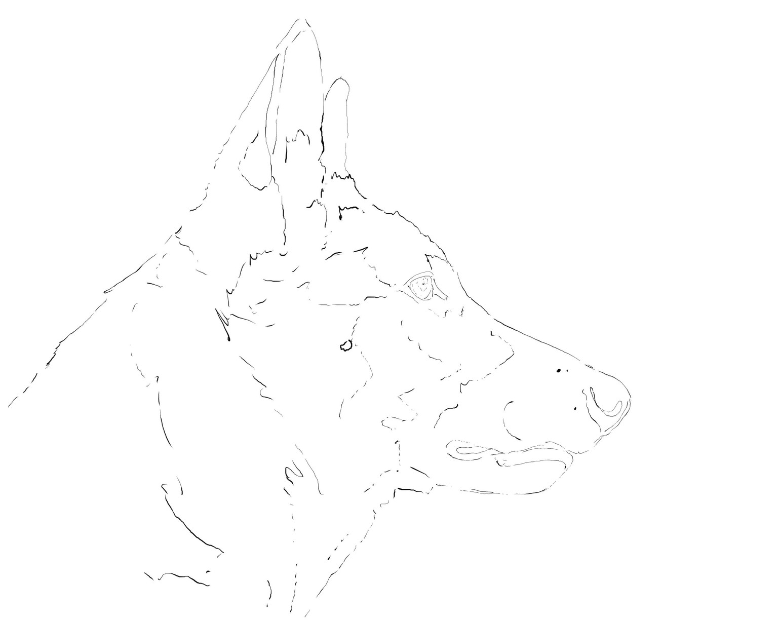 Embracing Tracing - image 2 - student project