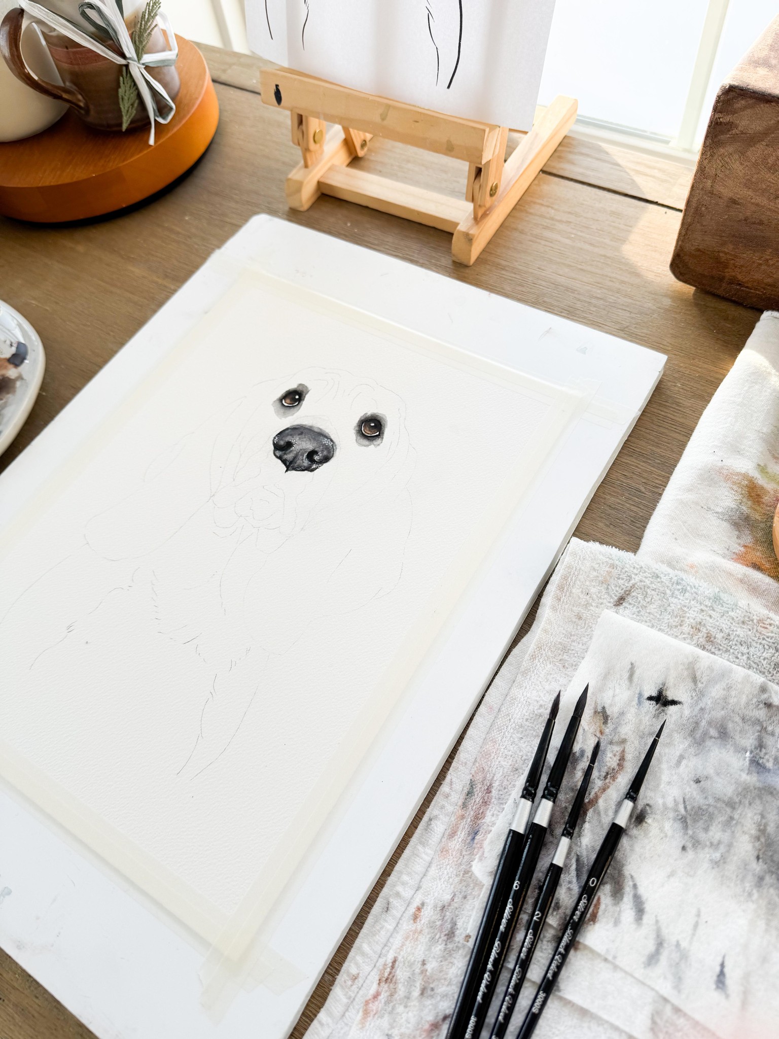 Cooper Dog Eyes/Nose - image 1 - student project
