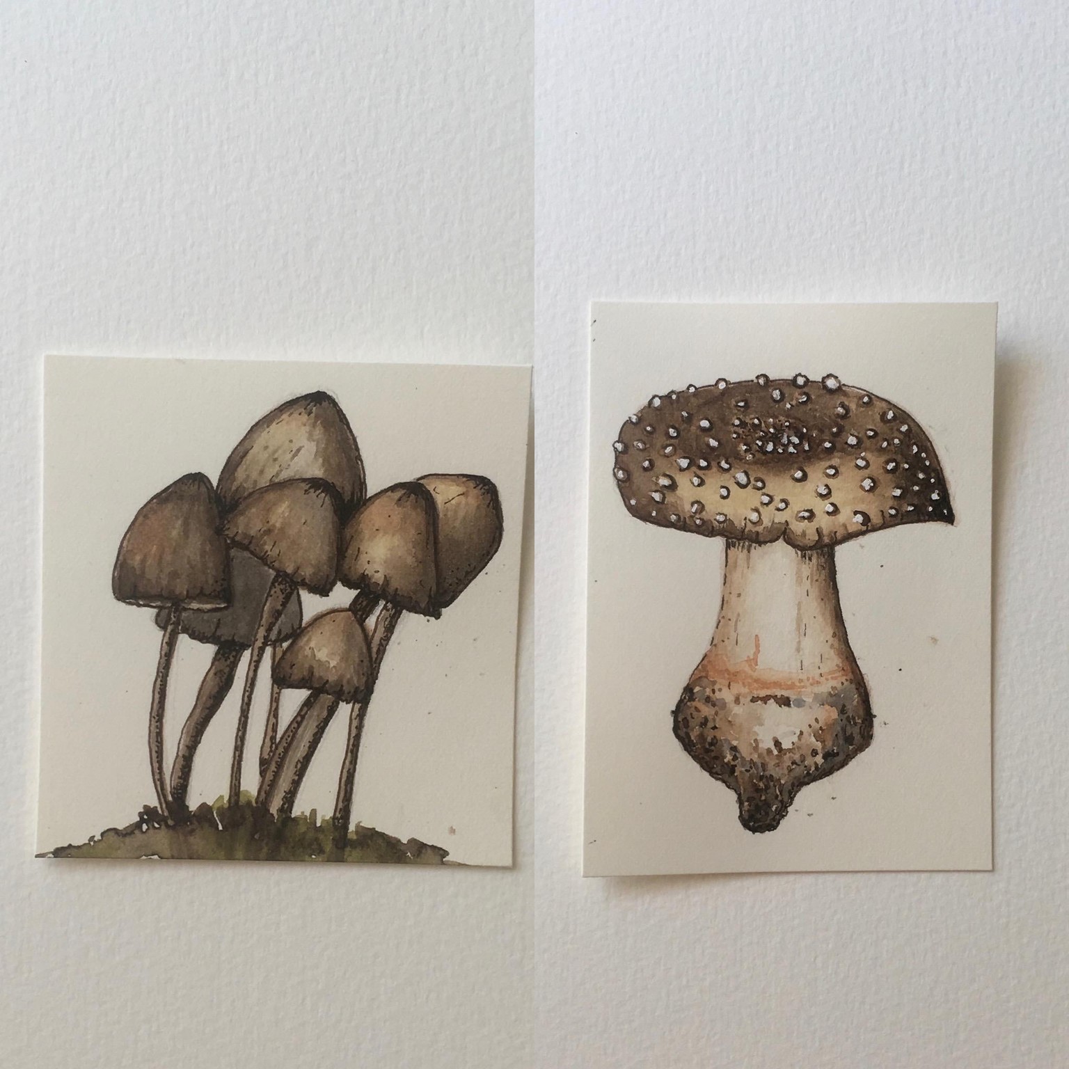 First go. will practice more‍ - image 1 - student project