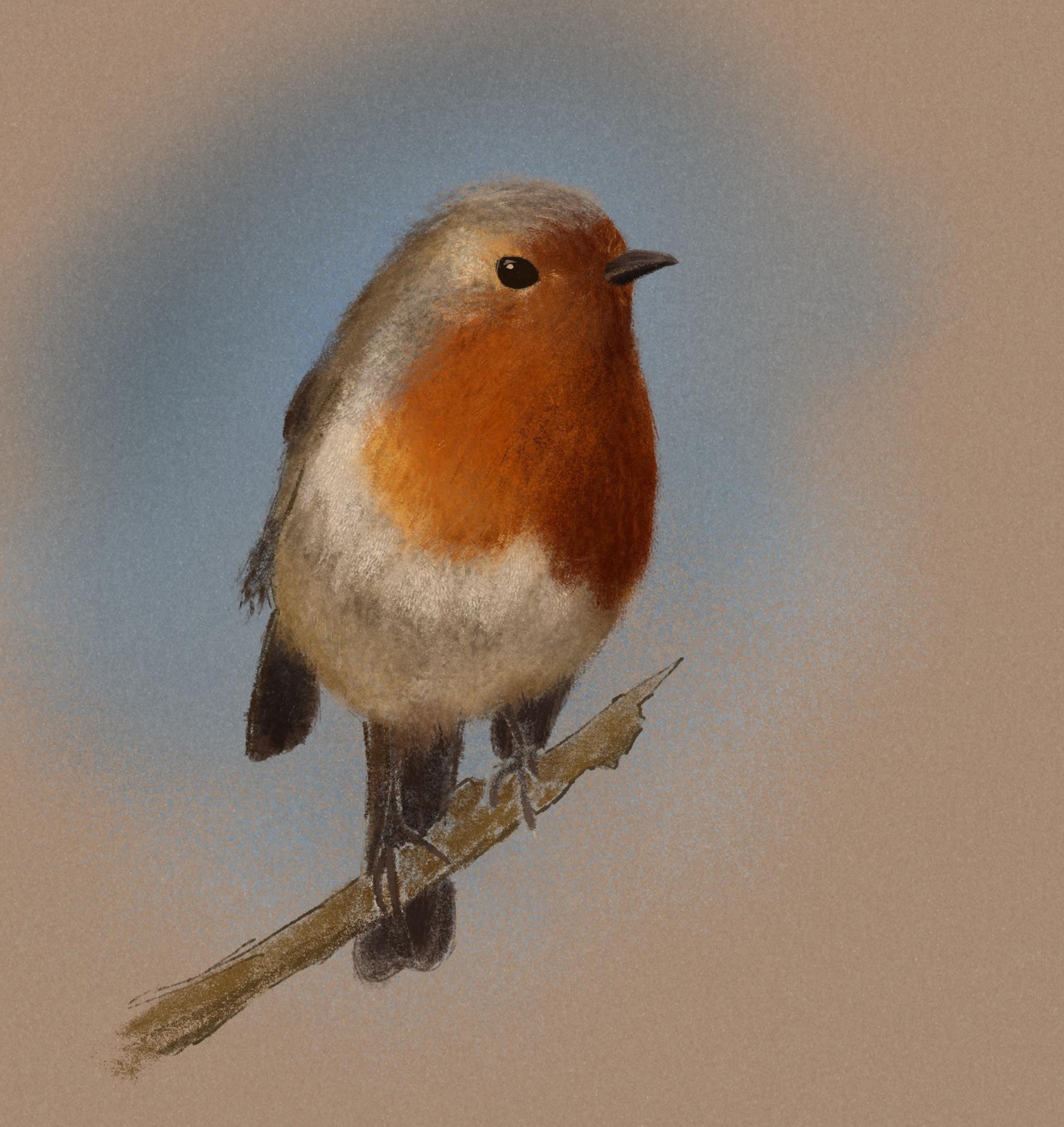 pastel robin + orange - image 1 - student project