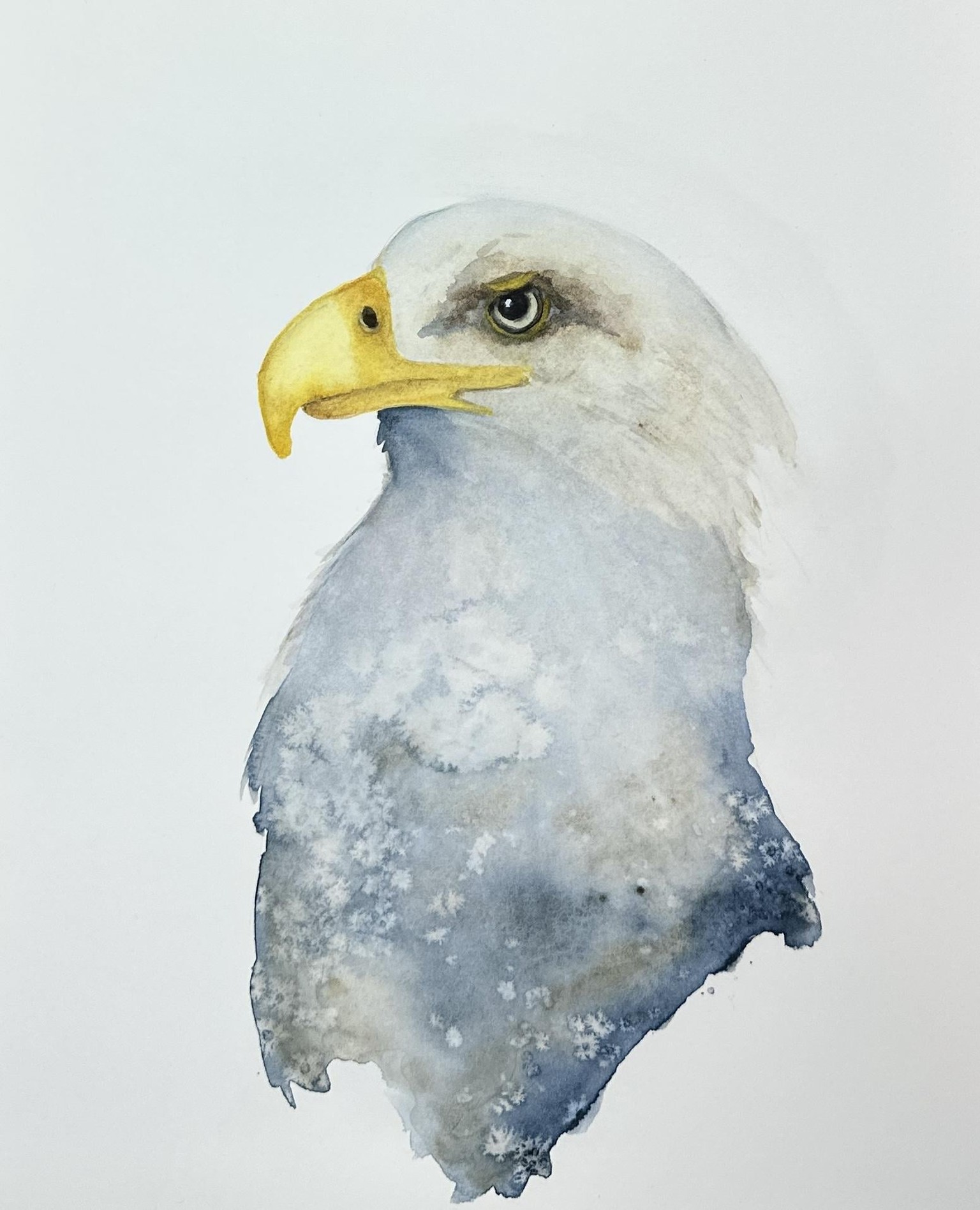 Eagle - image 1 - student project