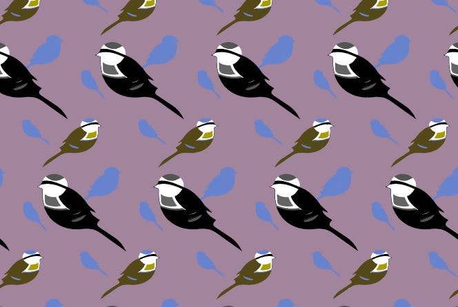 patterns with birds and flowers - image 1 - student project