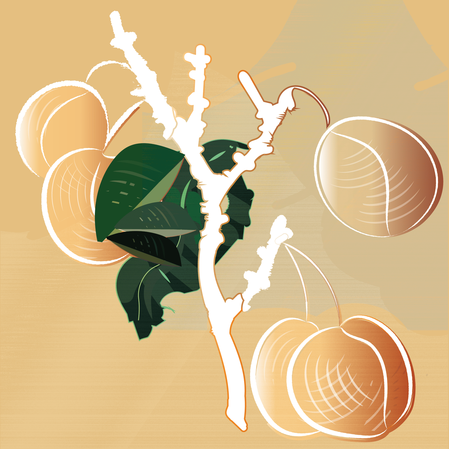 Plums - image 1 - student project