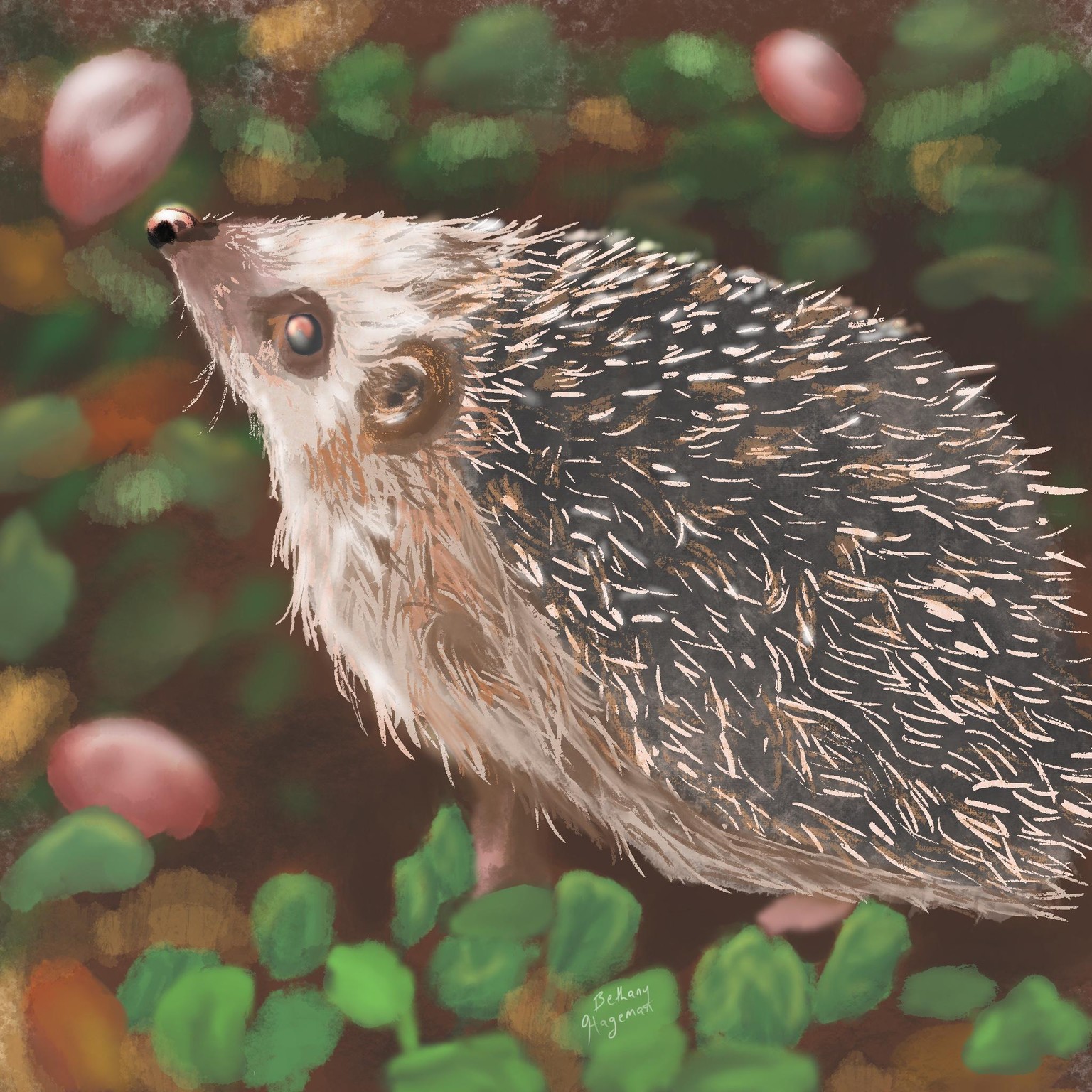 Hedgehog - image 1 - student project