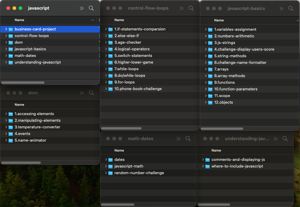 Js: Introduction for Beginners (Training & Challenge) - image 1 - student project