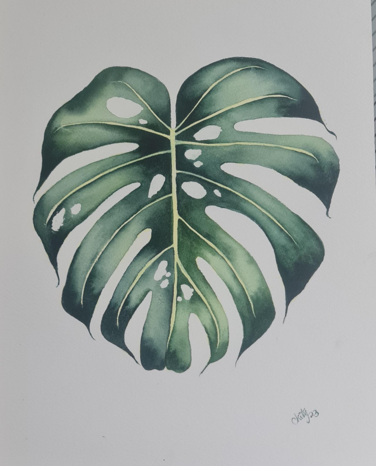 Monstera - image 1 - student project
