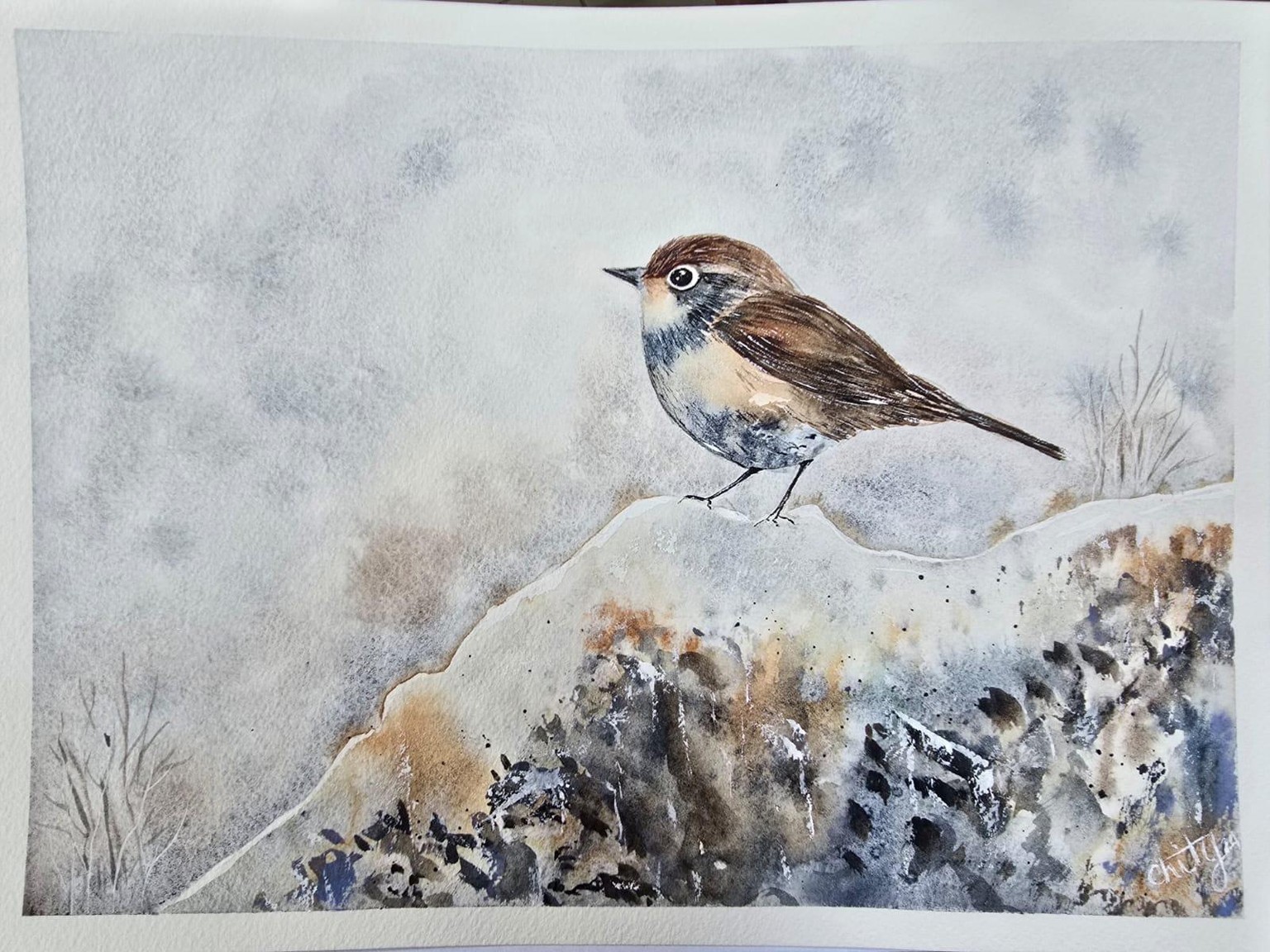 Snow bird - image 1 - student project