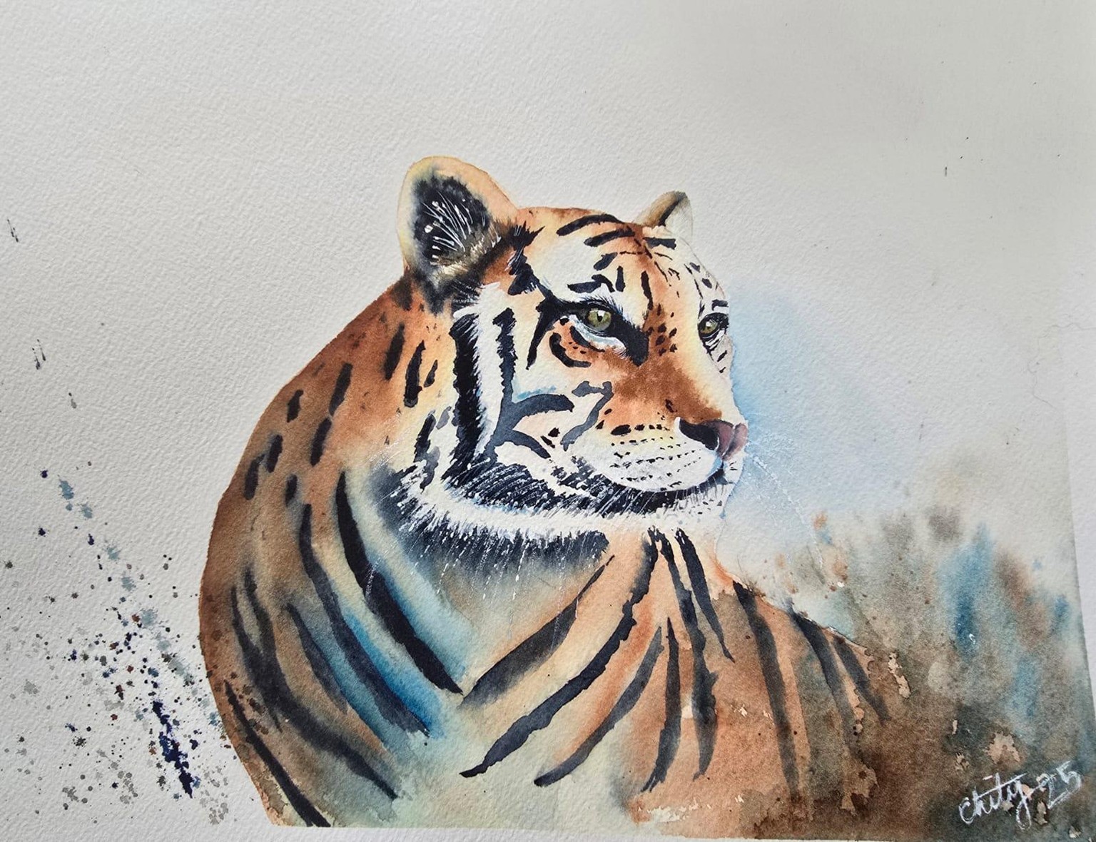 Tiger - image 1 - student project