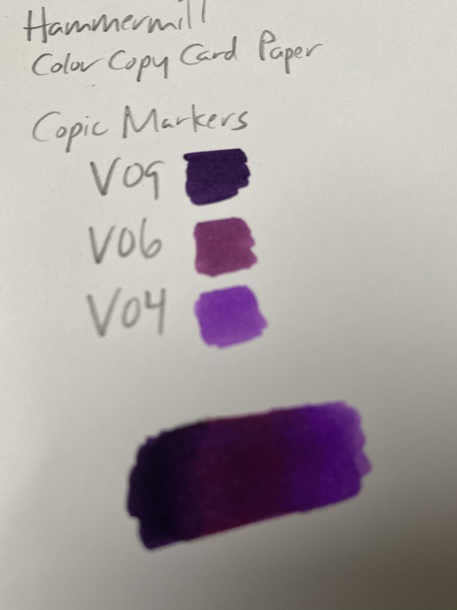 Purple rose with Copic markers - image 2 - student project