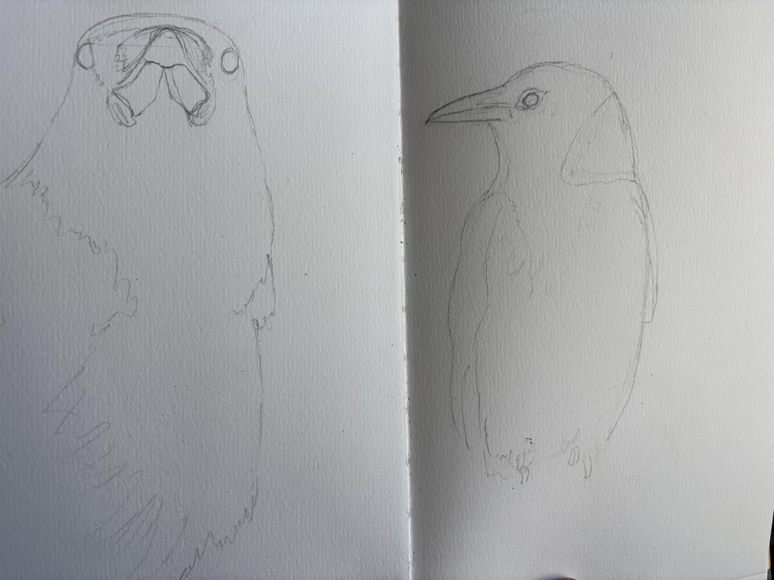 Sketchbook practice - image 2 - student project