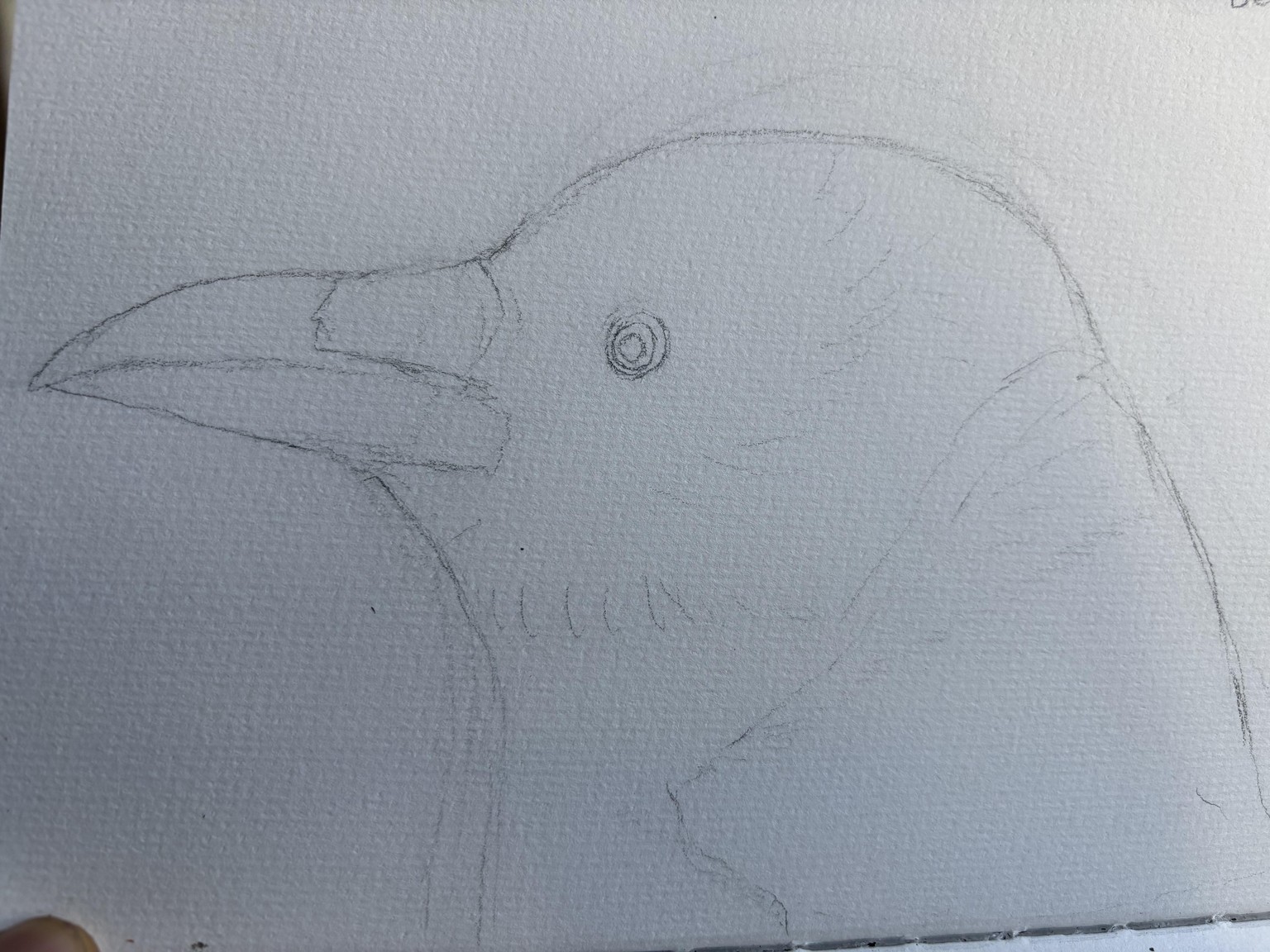 Sketchbook practice - image 3 - student project