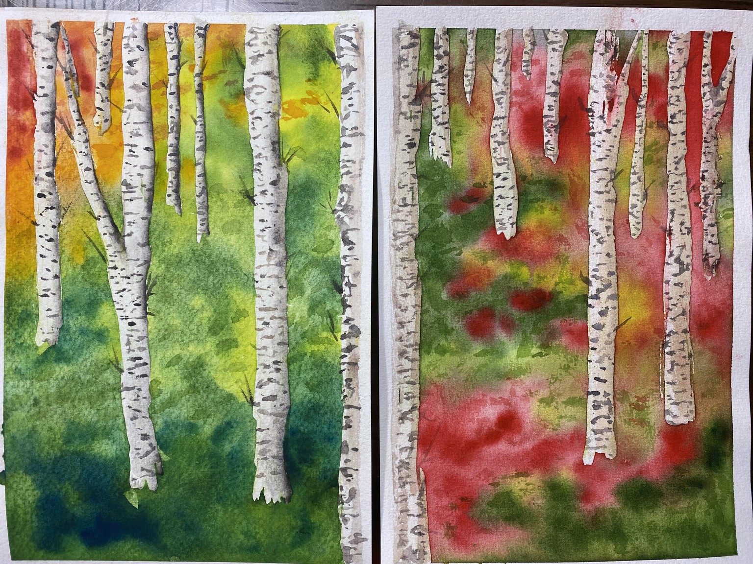 Birch trees - image 1 - student project