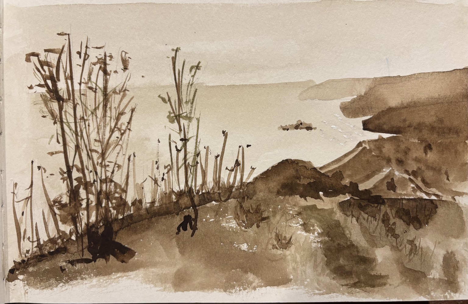 Catalina Island sketch - image 1 - student project