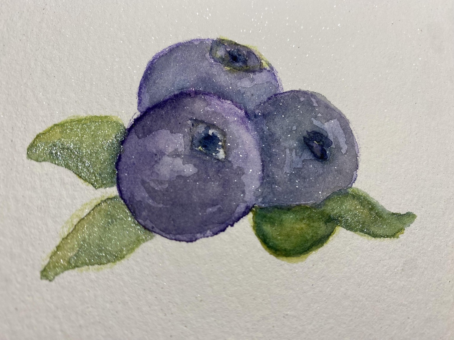 blueberries - image 1 - student project