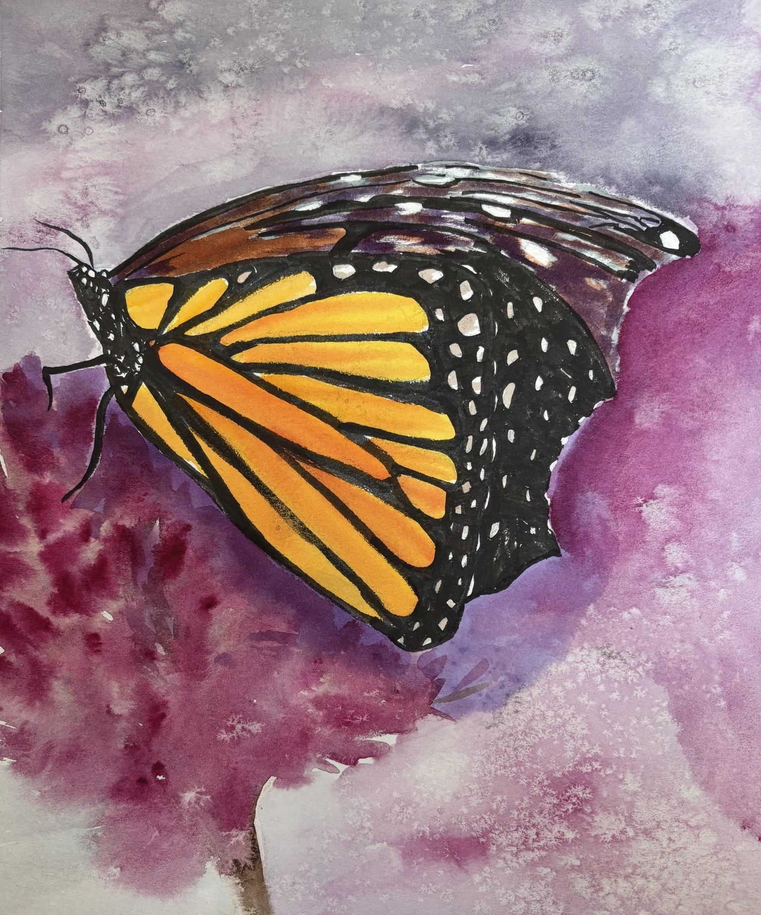 Butterfly sketchbook - image 1 - student project