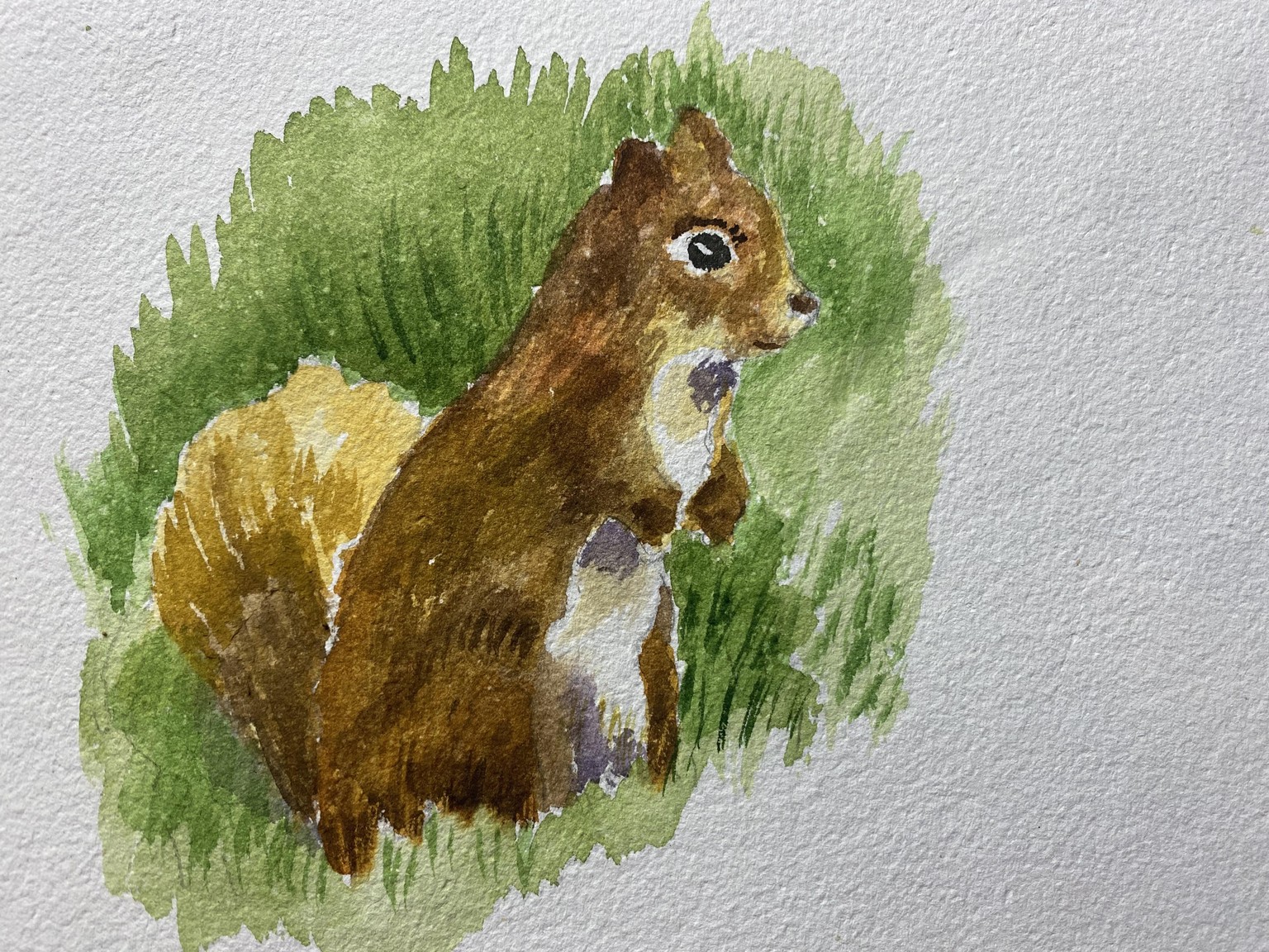 Squirrel - image 1 - student project