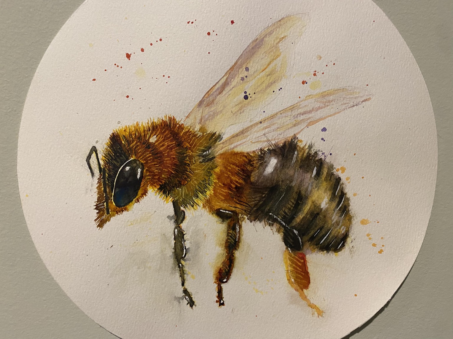 Watercolor bee - image 1 - student project