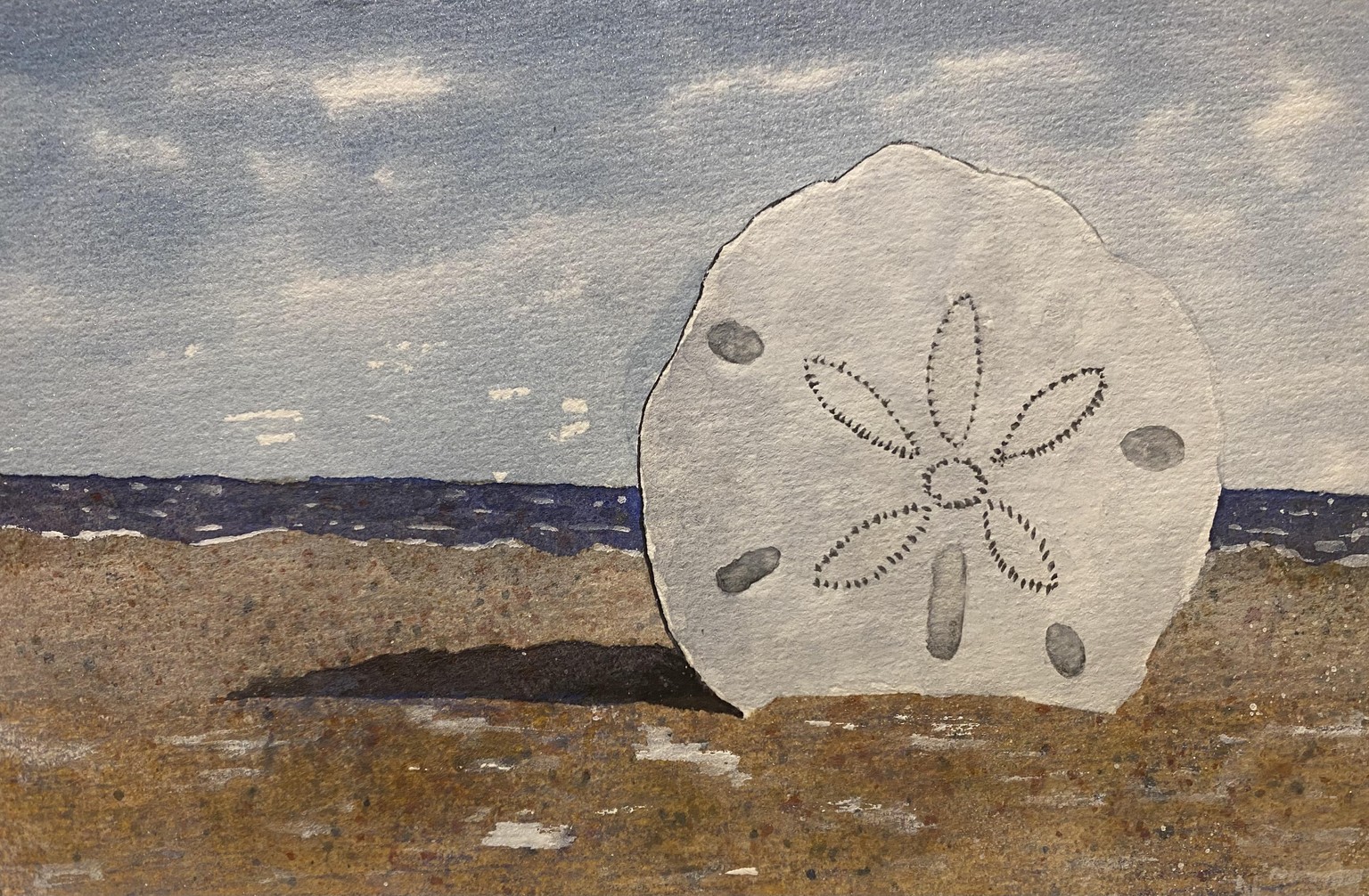 Sand Dollar - image 1 - student project