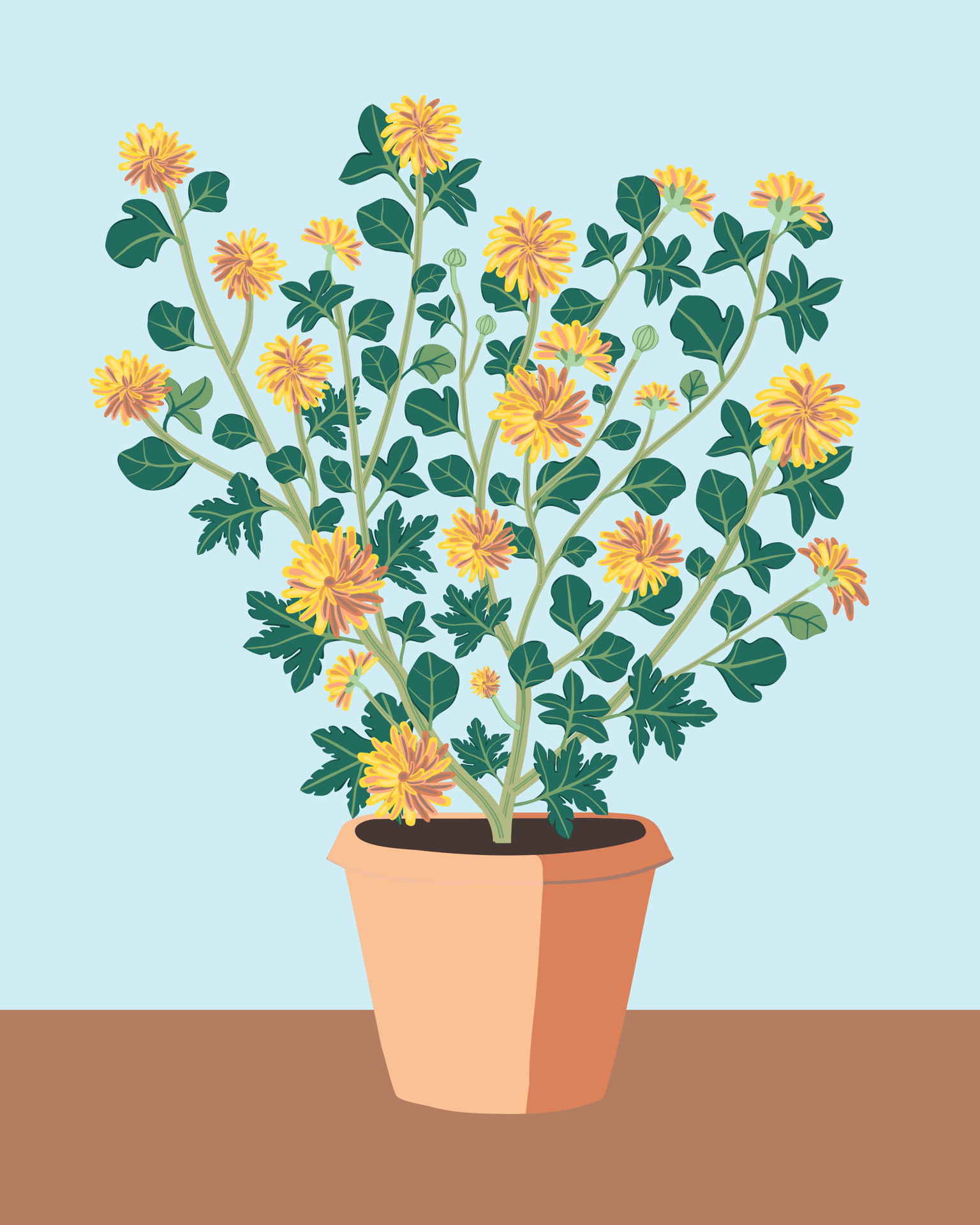Chrysanthemums - image 2 - student project