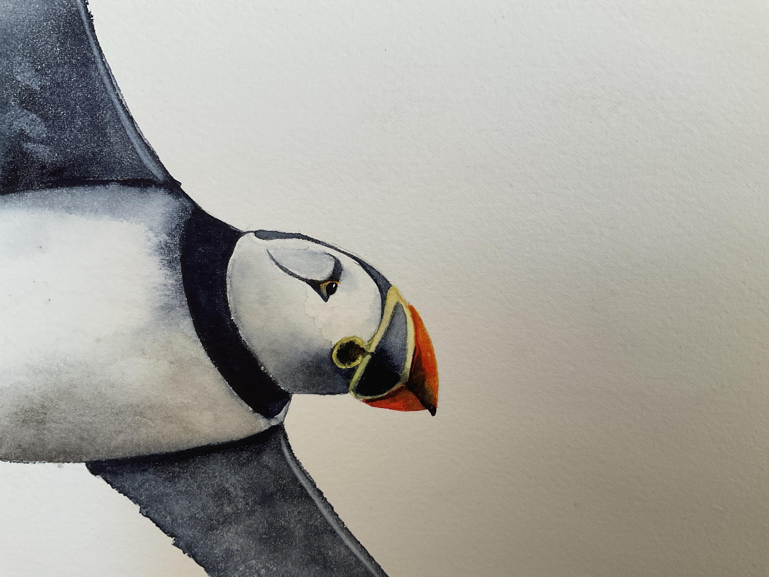 Flying Puffin - image 1 - student project