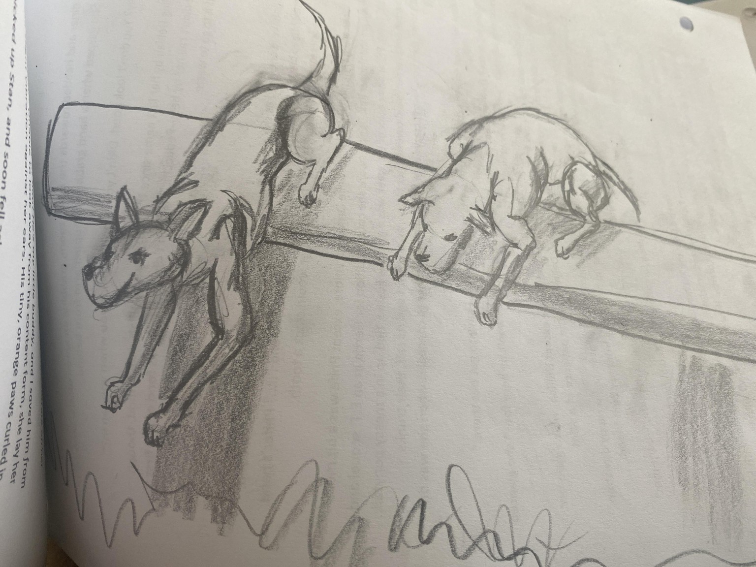 Dog sketches - image 1 - student project