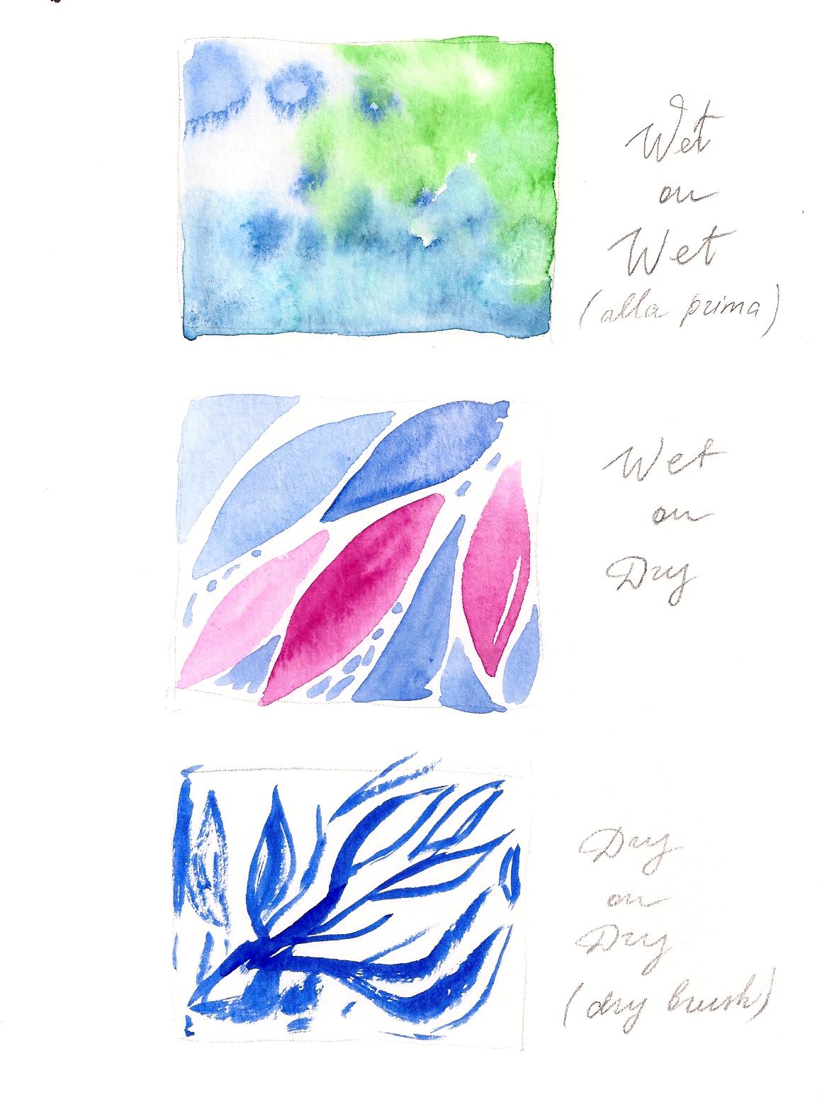 Essential Watercolor Techniques Sample Project - image 3 - student project