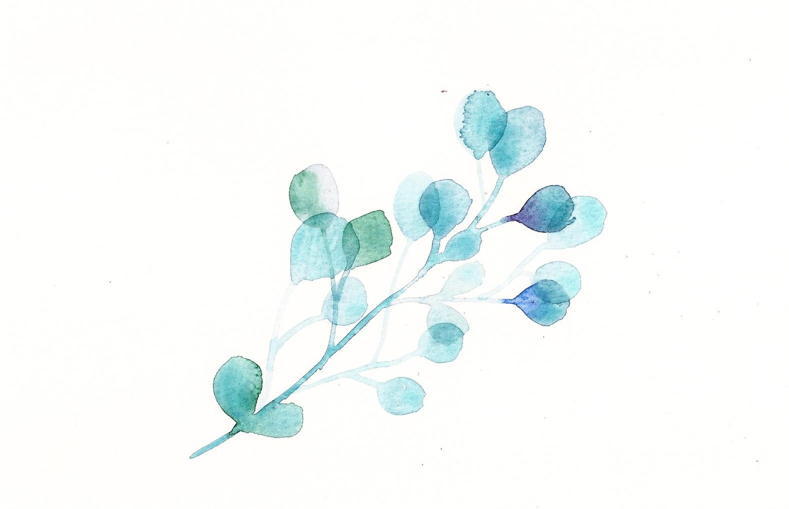 Watercolor Leaves Sample Project - image 4 - student project