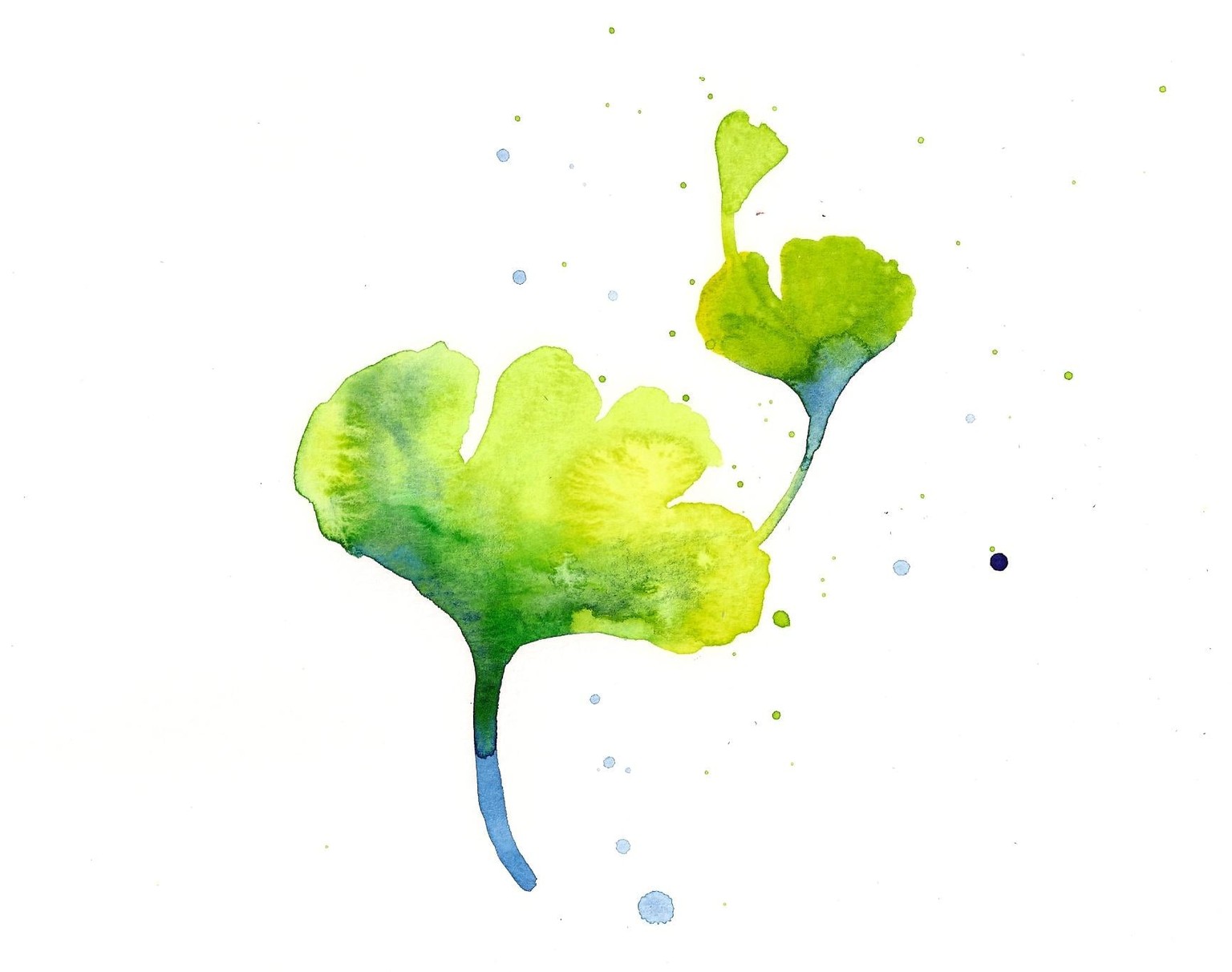 Watercolor Leaves Sample Project - image 2 - student project