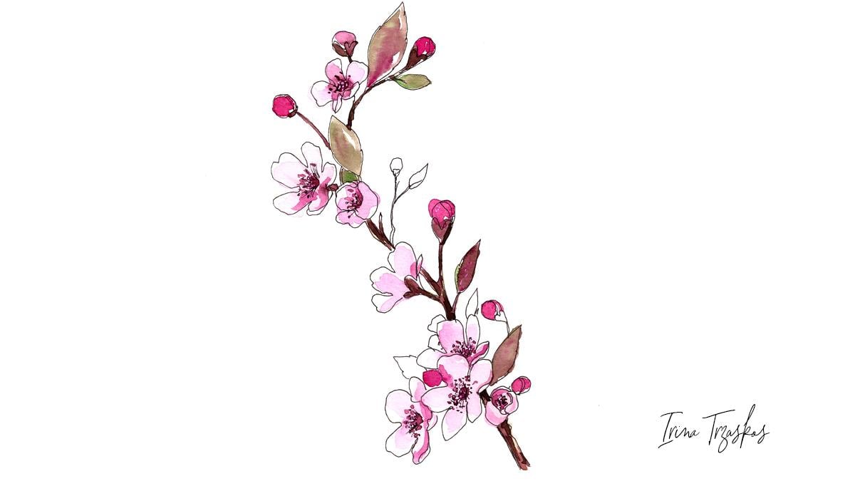 Watercolor Spring Blossoms {Sample Project} - image 3 - student project