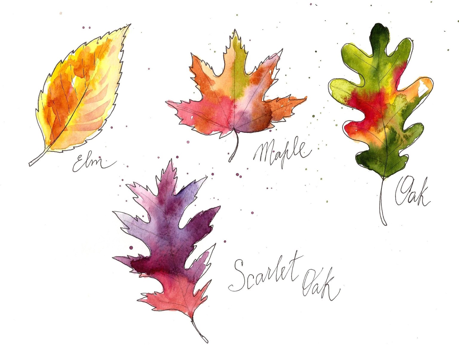 Watercolor Leaves Sample Project - image 1 - student project