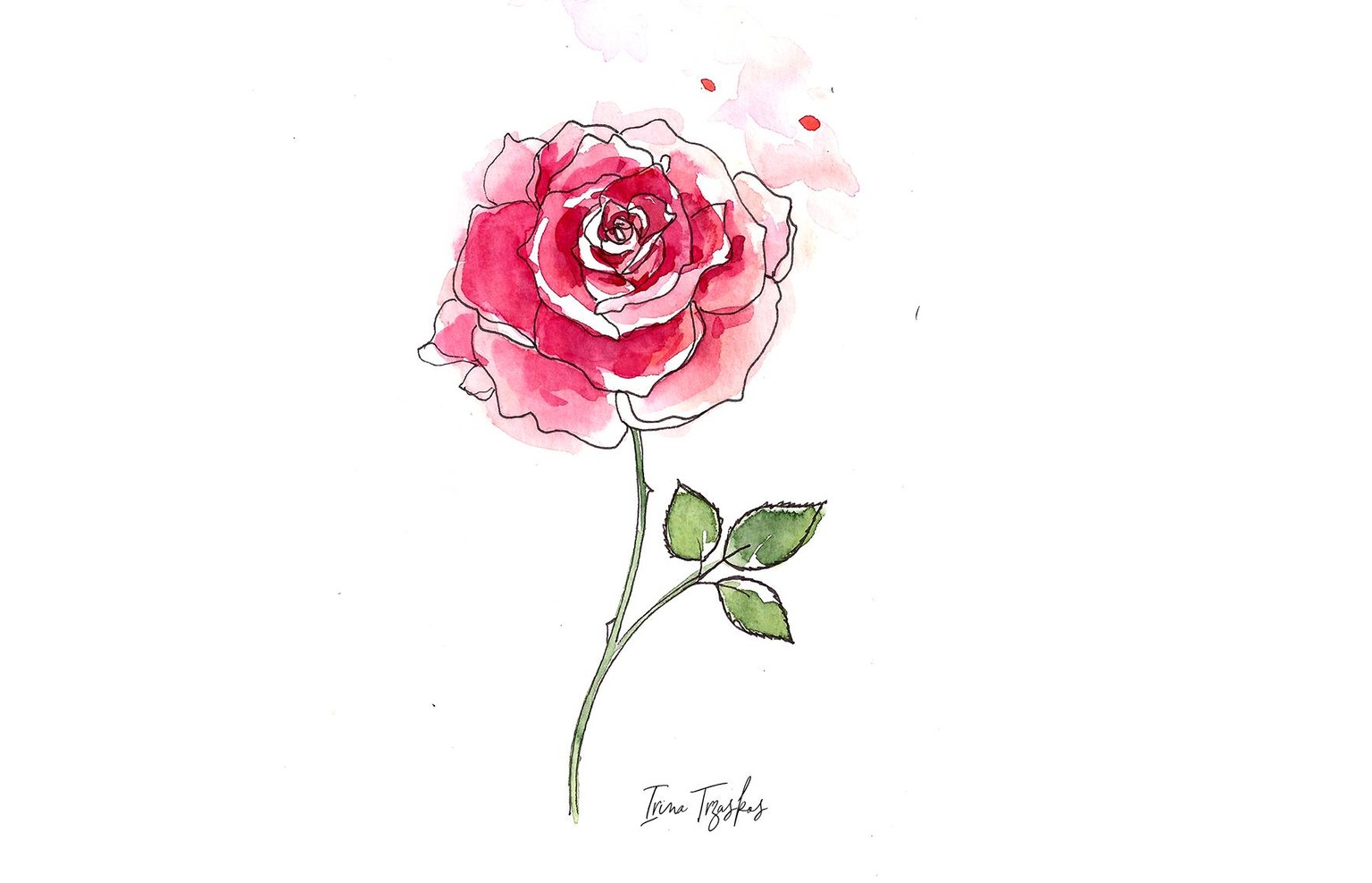 Watercolor roses {Sample Project} - image 3 - student project