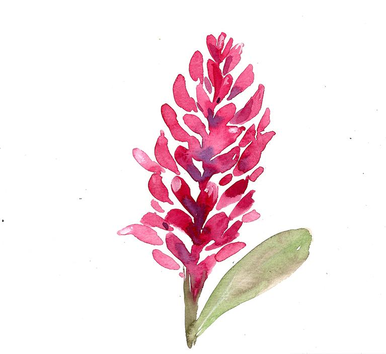 Tropical Flowers Sample Project - image 2 - student project